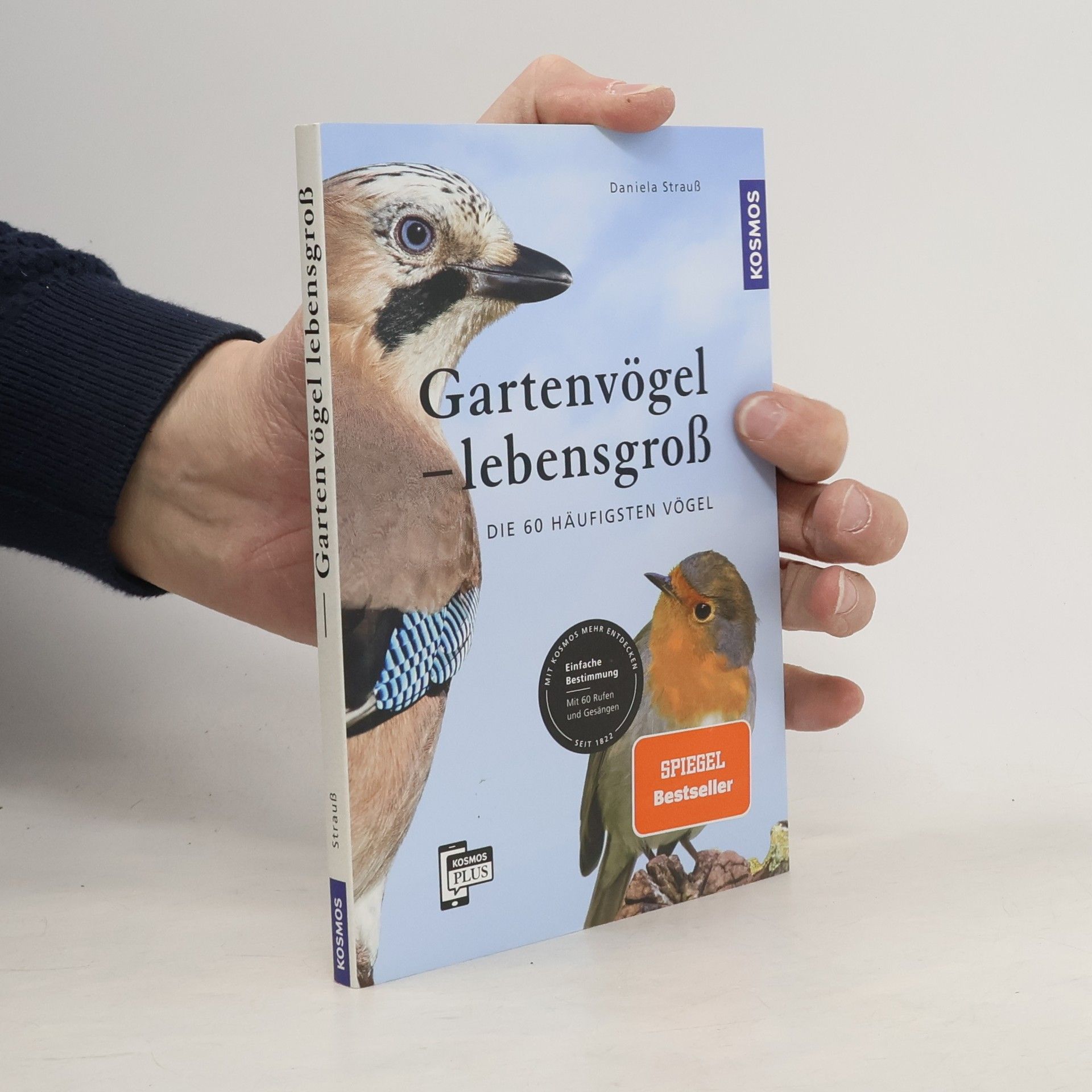 Daniela Strauß Gartenvögel - lebensgroß