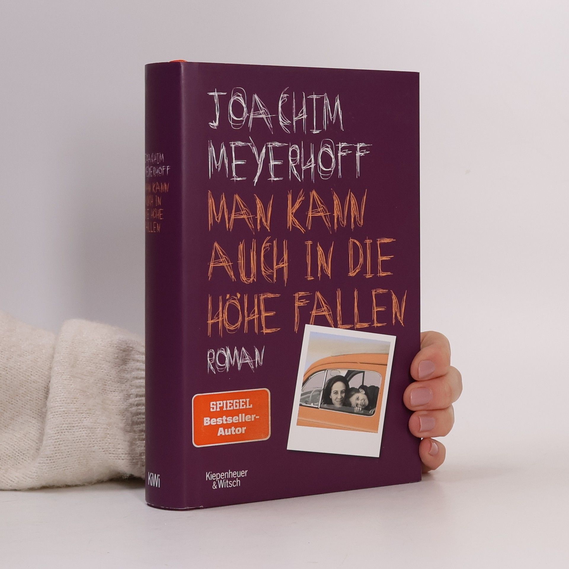 Joachim Meyerhoff Man kann auch in die Höhe fallen