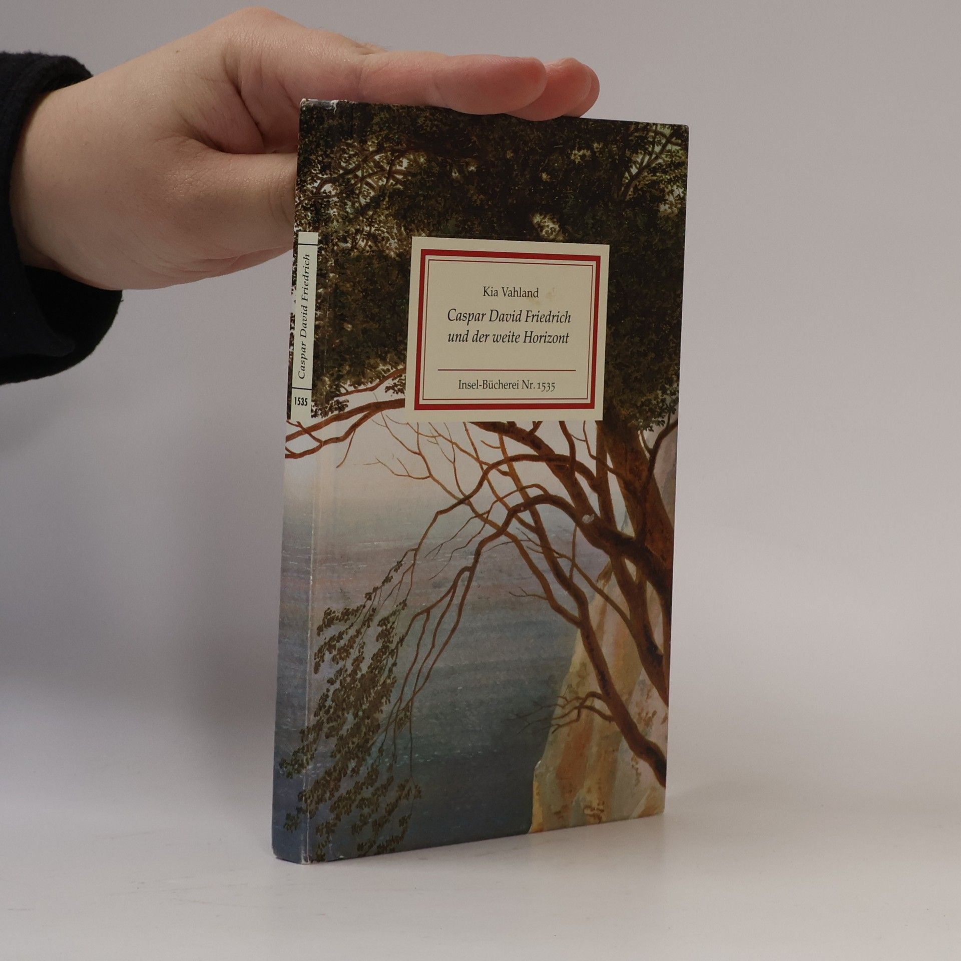 Caspar David Friedrich und der weite Horizont