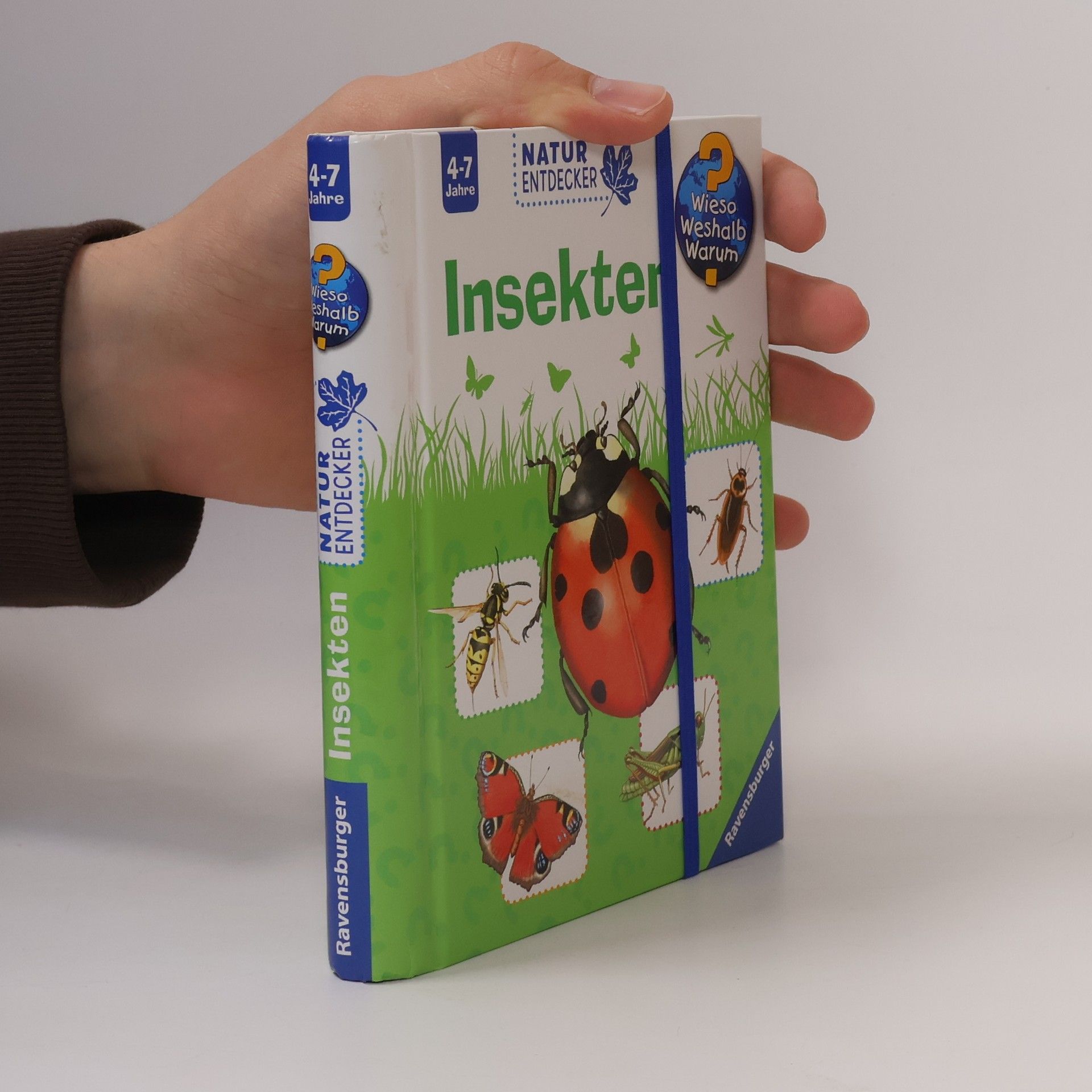 Esther von Hacht Insekten