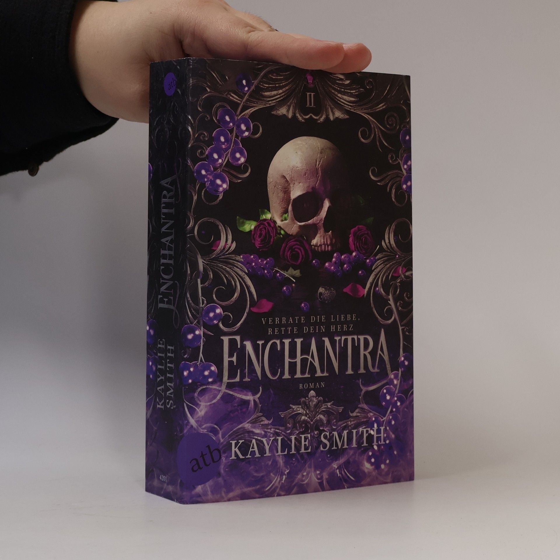 Kaylie Smith Enchantra – Verrate die Liebe, rette dein Herz