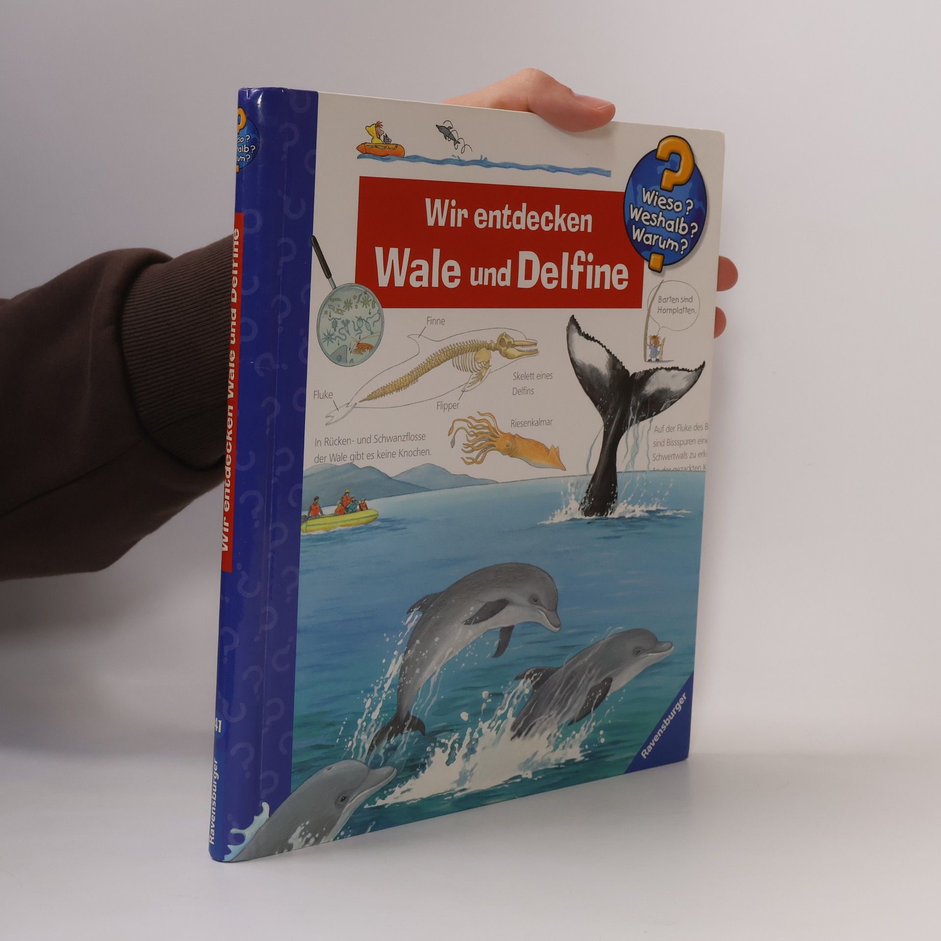 Wir entdecken Wale und Delfine