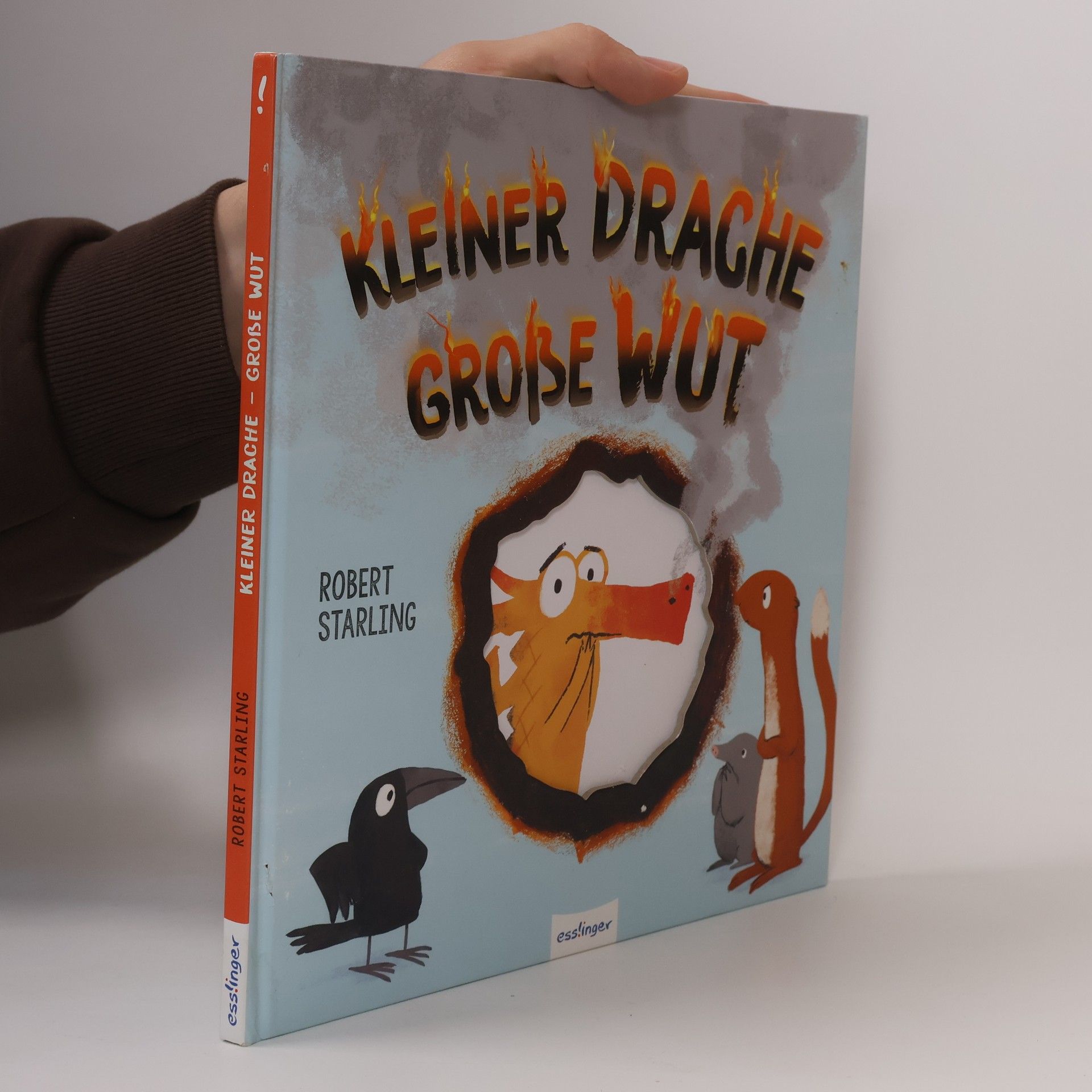Robert Starling Kleiner Drache - große Wut