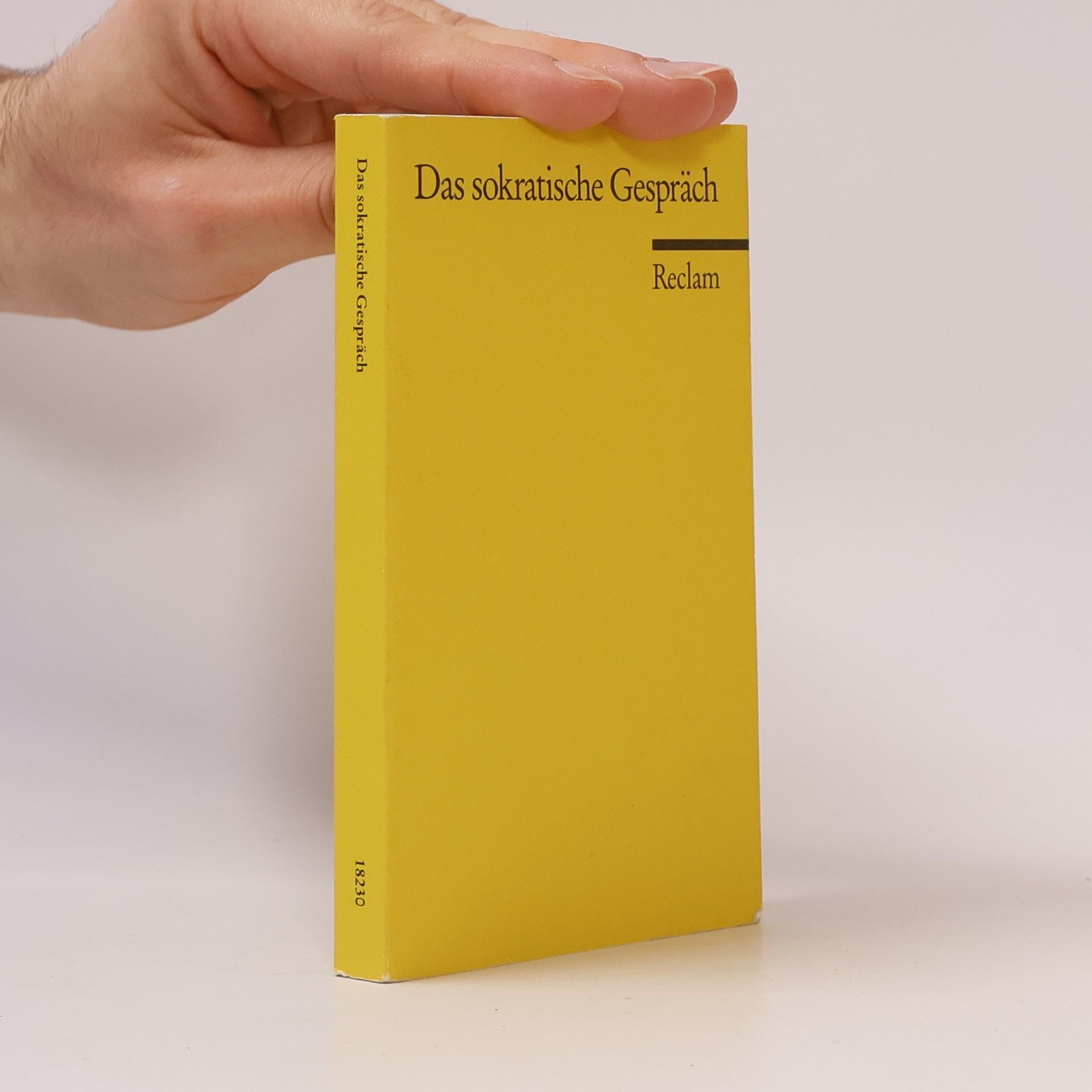 Dieter Birnbacher Das sokratische Gespräch