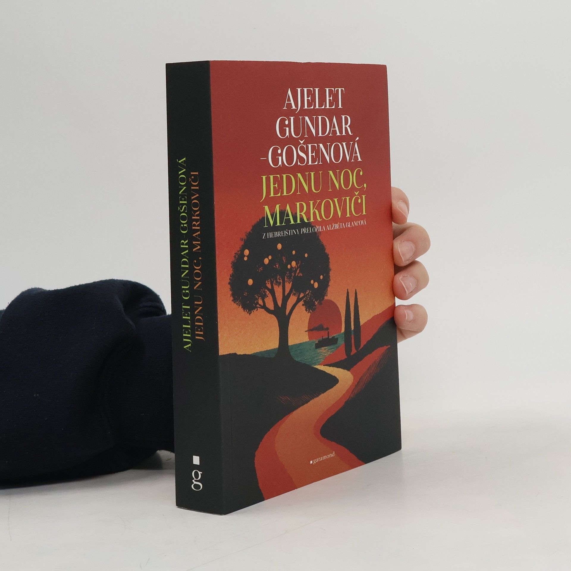 Ayelet Gundar-Goshen Jednu noc, Markoviči