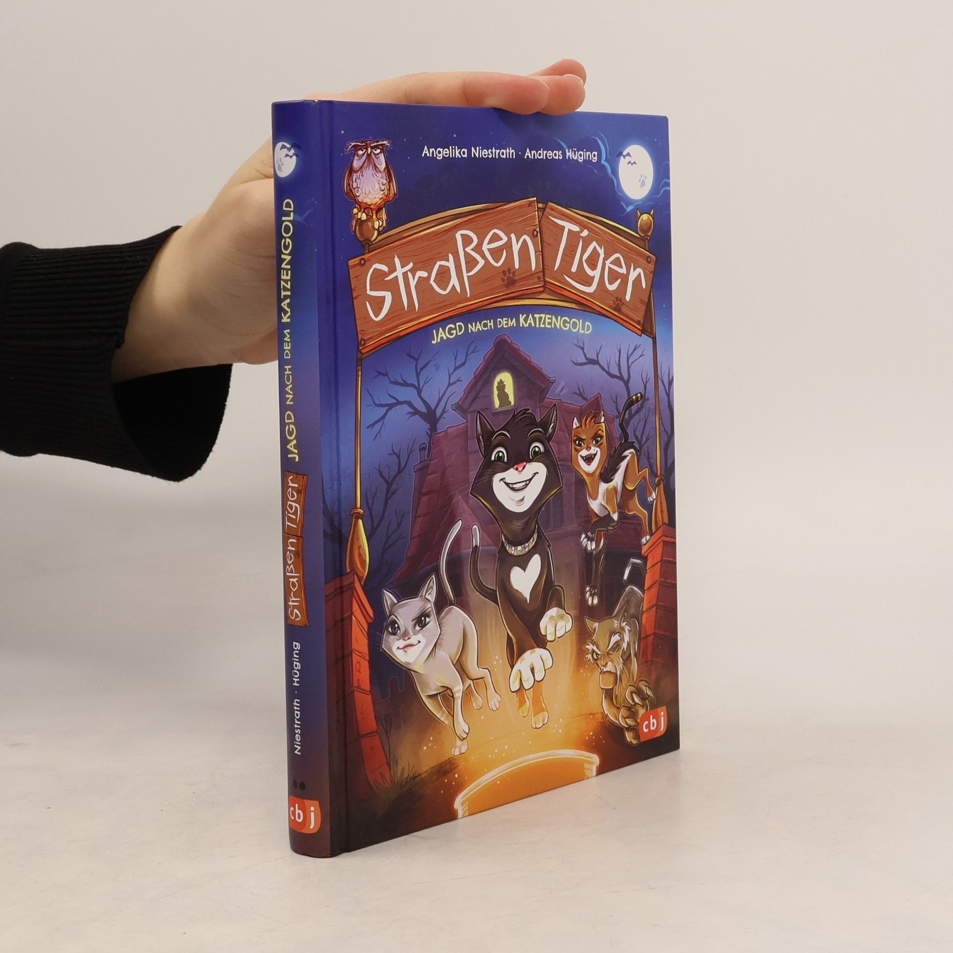 Andreas Hüging Straßentiger - Jagd nach dem Katzengold