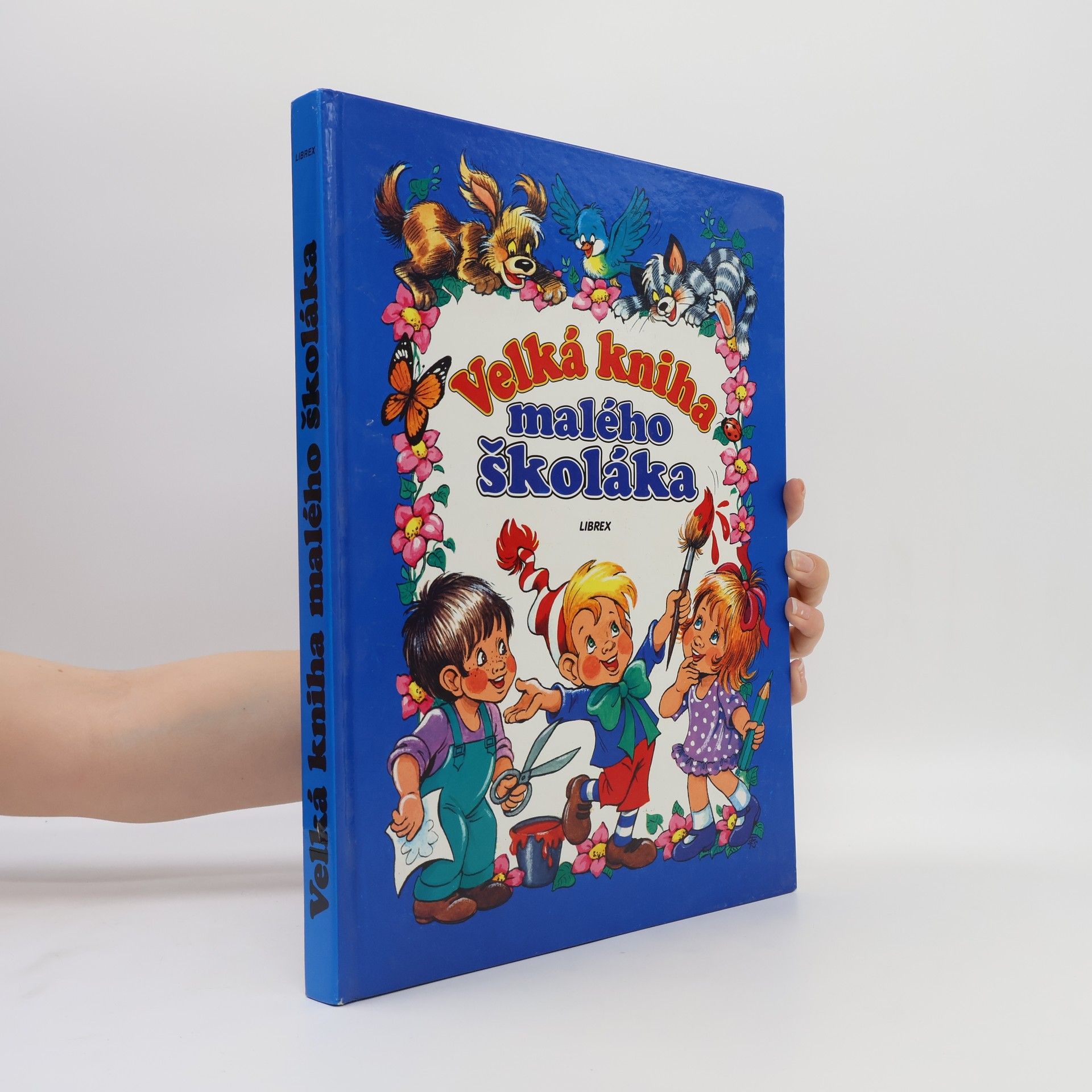 Anikó Csörgő Velká kniha malého školáka