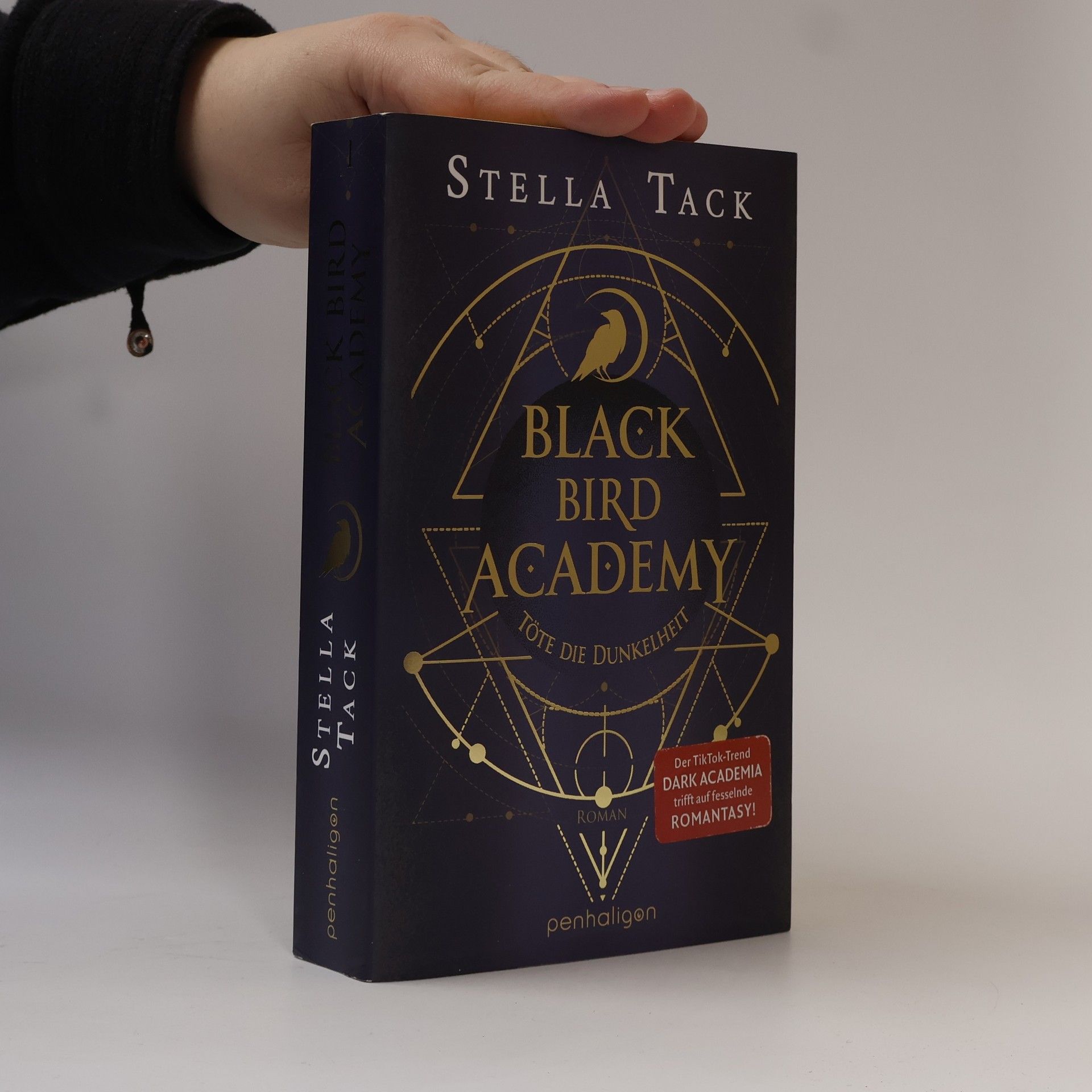 Stella Tack Black Bird Academy - Töte die Dunkelheit
