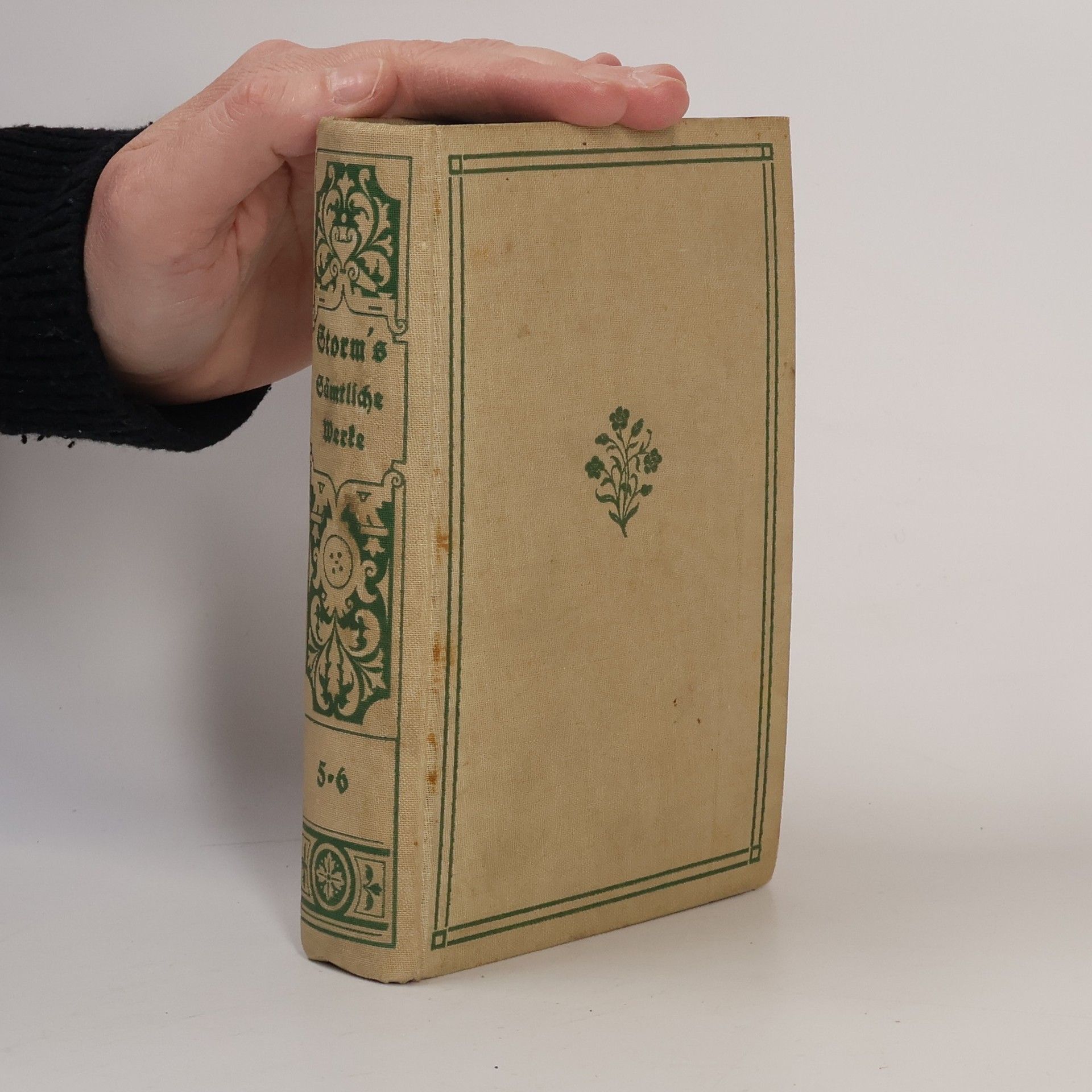 Theodor Storm Sämtliche Werke. Band 5