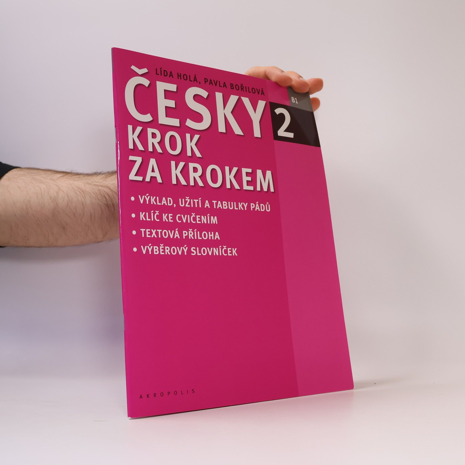 Lída Holá Česky krok za krokem 2. B1 (Příloha)