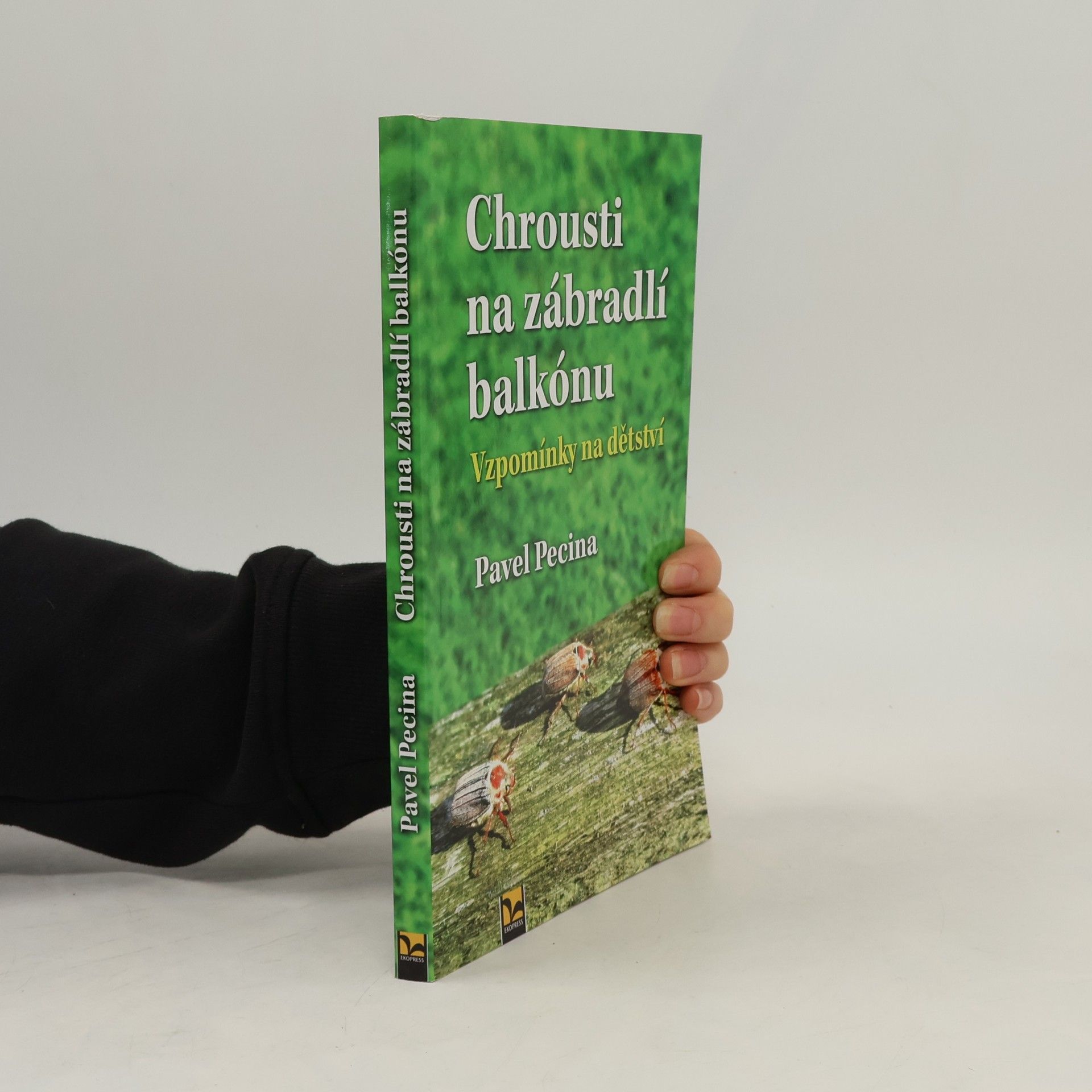 Chrousti na zábradlí balkónu