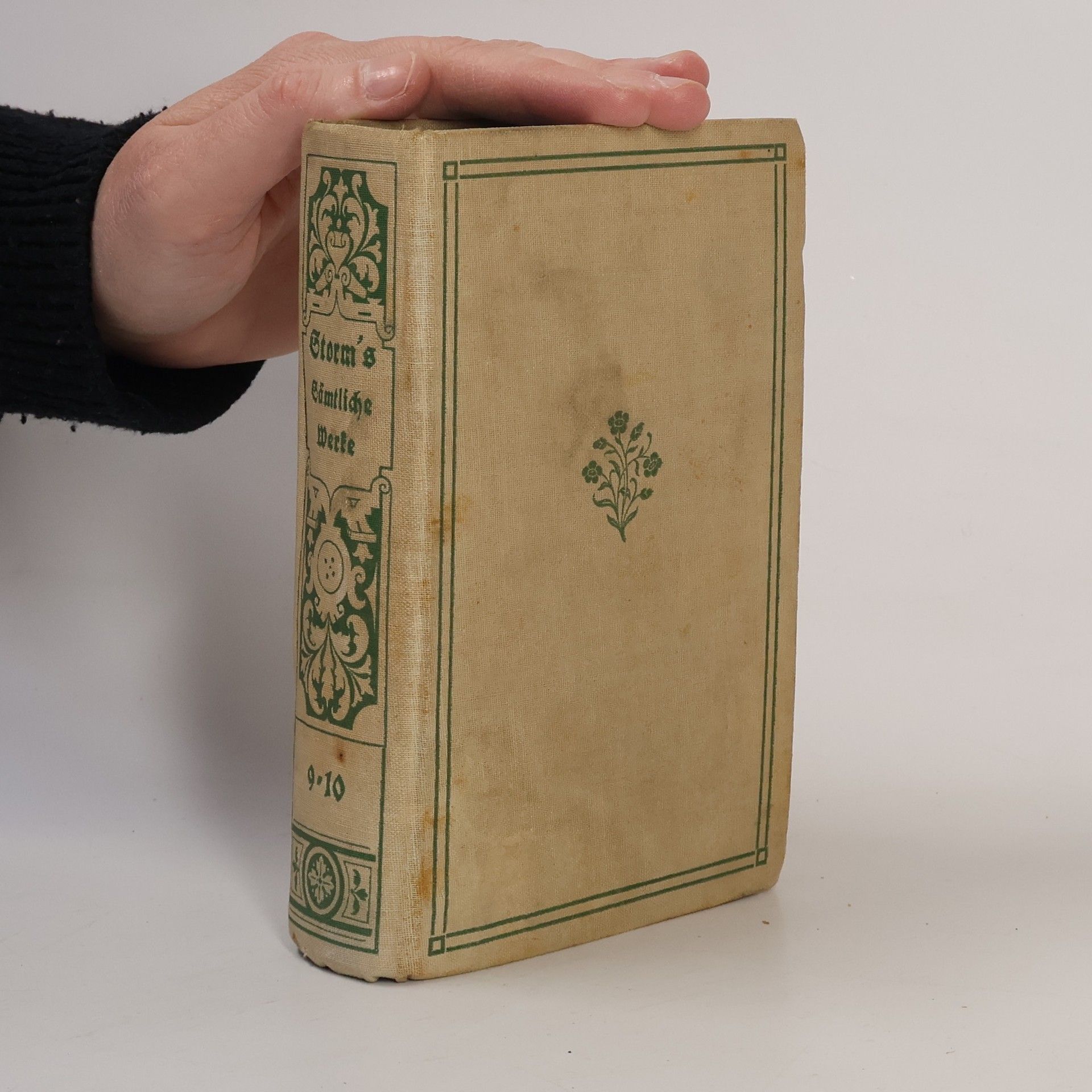 Theodor Storm Sämtliche Werke 9