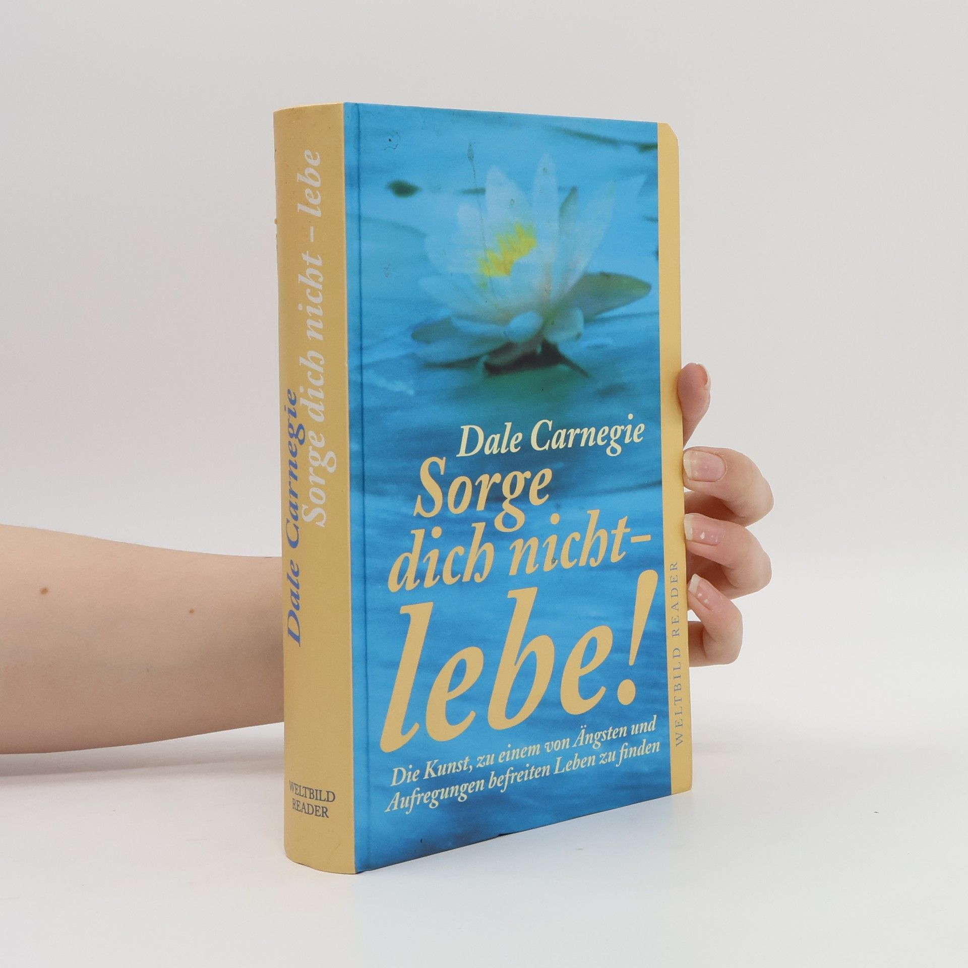 Dale Carnegie Sorge dich nicht - lebe!