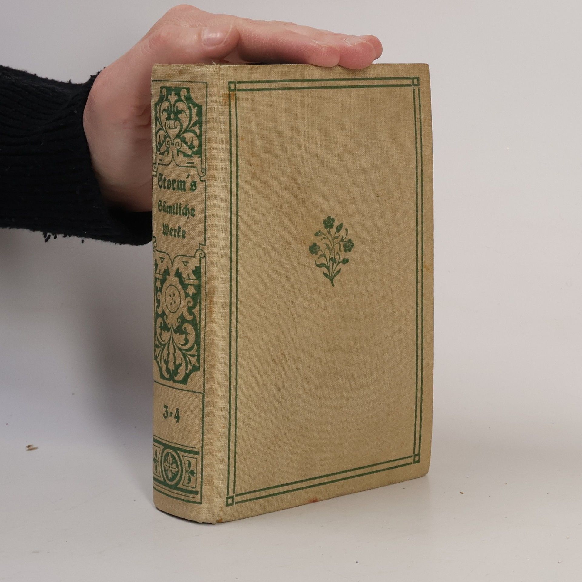 Theodor Storm Sämtliche Werke. Band 3