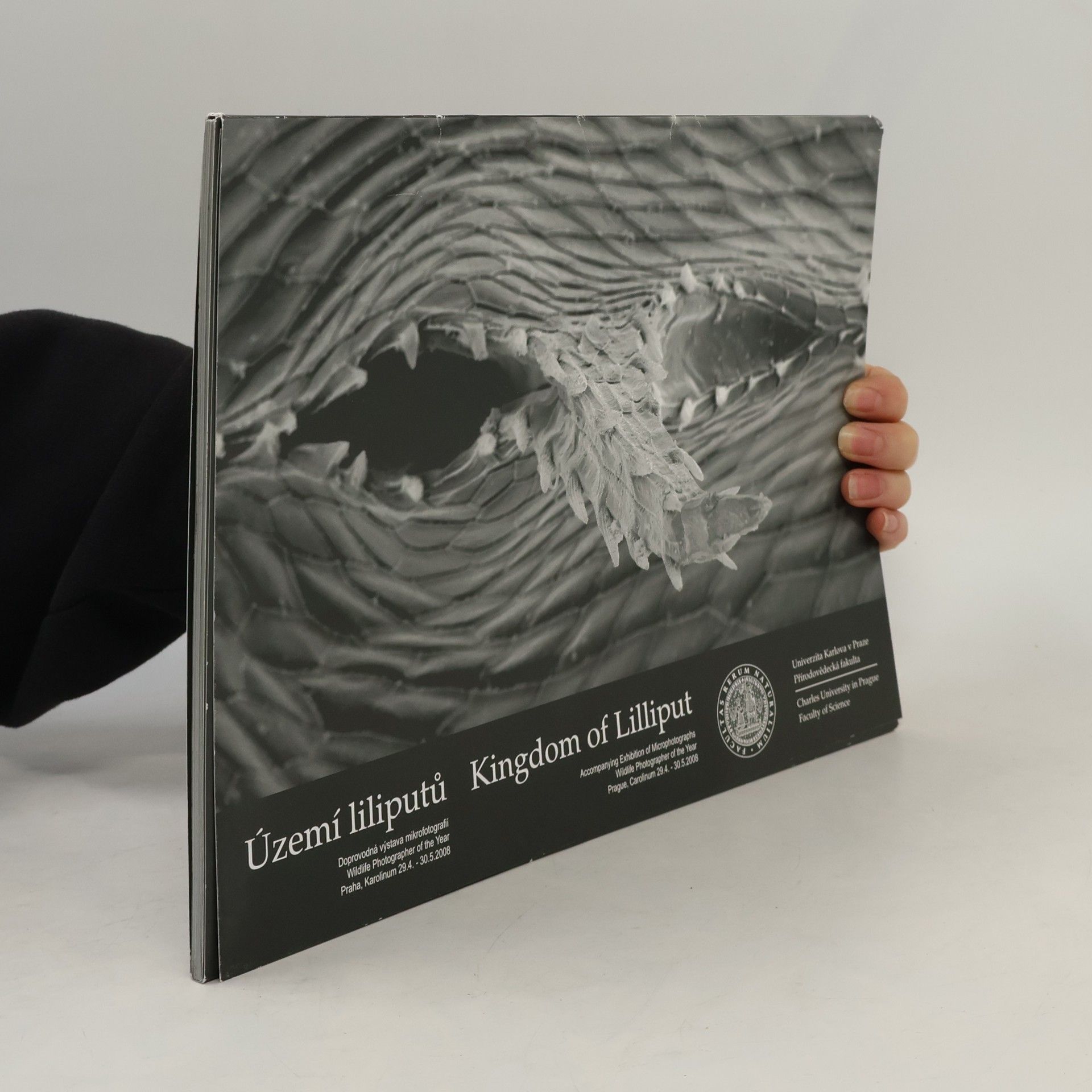 Kolektiv autorů Území liliputů