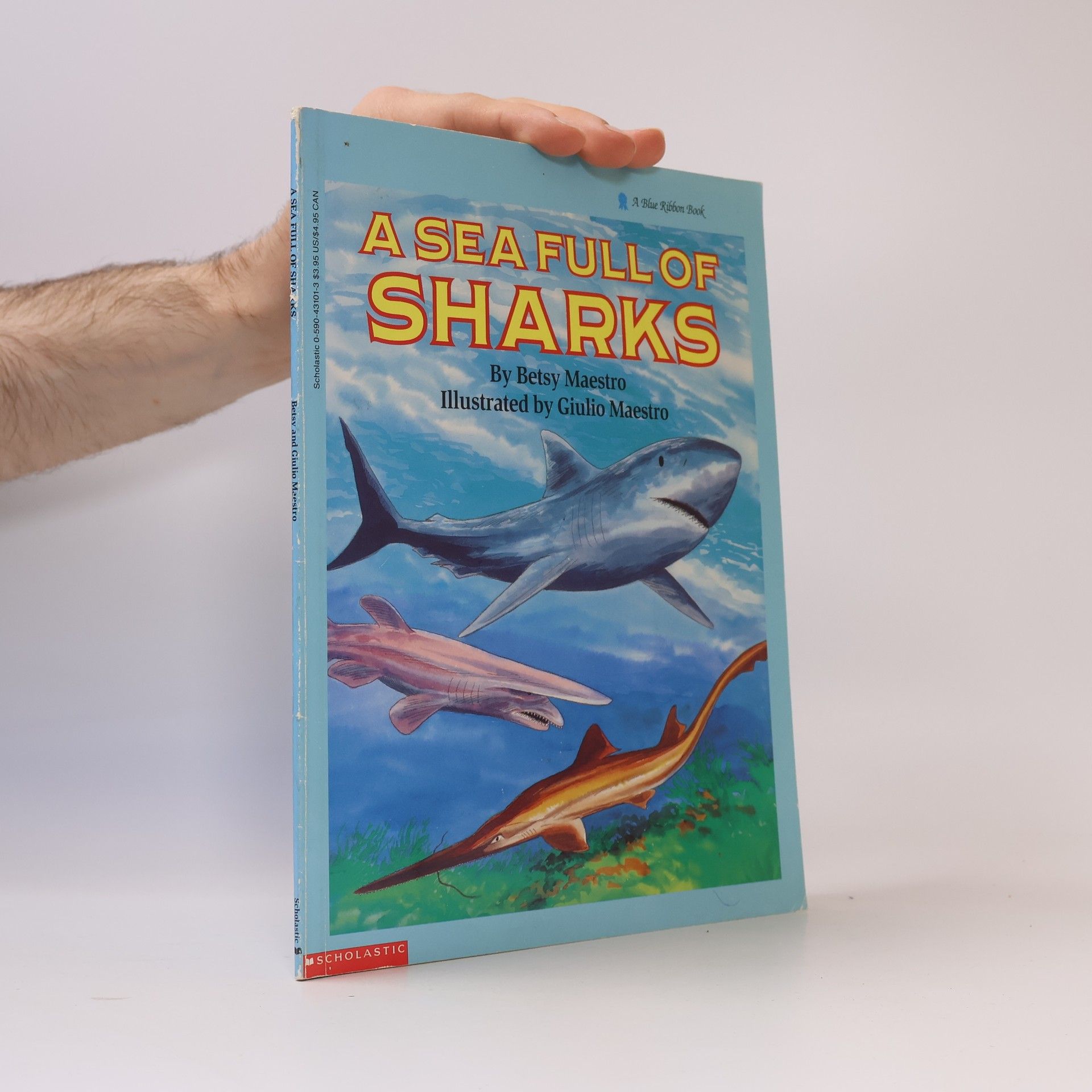 Betsy Maestro A Blue Ribbon Book: A Sea Full of Sharks