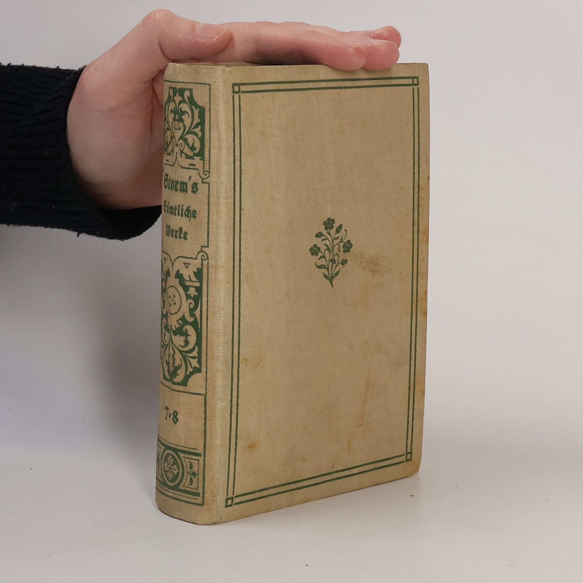 Theodor Storm Sämtliche Werke 7