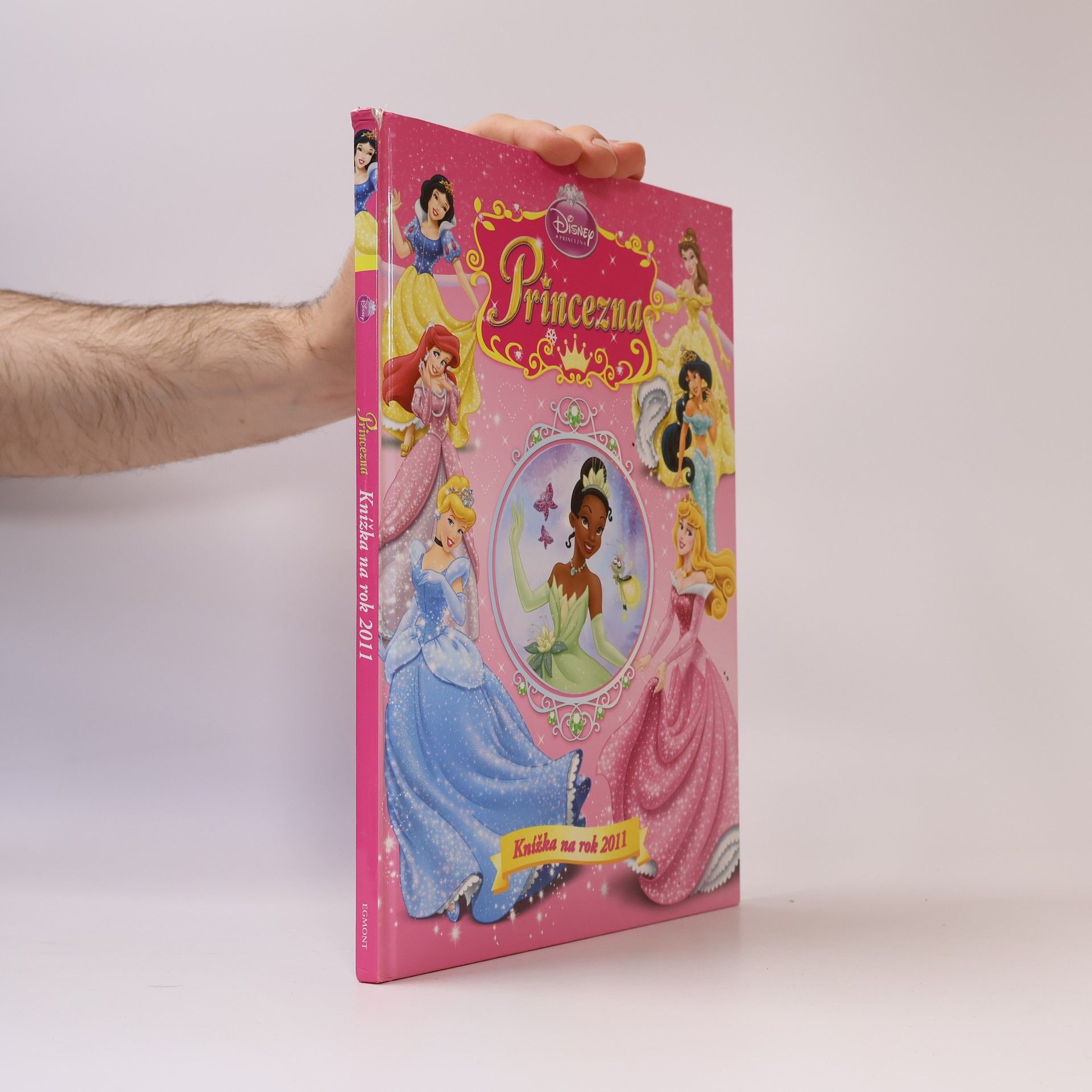 Marie Jedličková Princezna : knížka na rok 2011