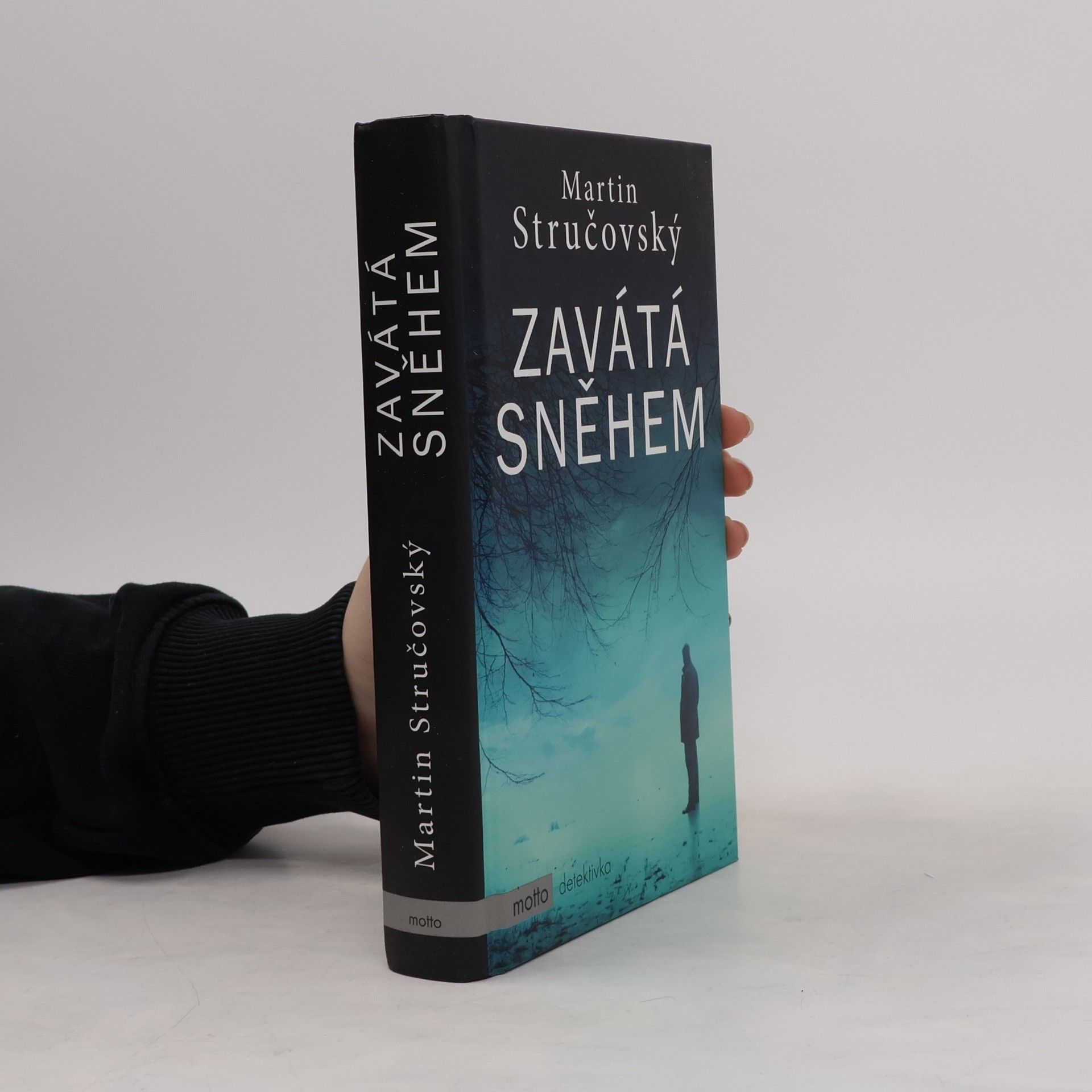 Martin Stručovský Zavátá sněhem