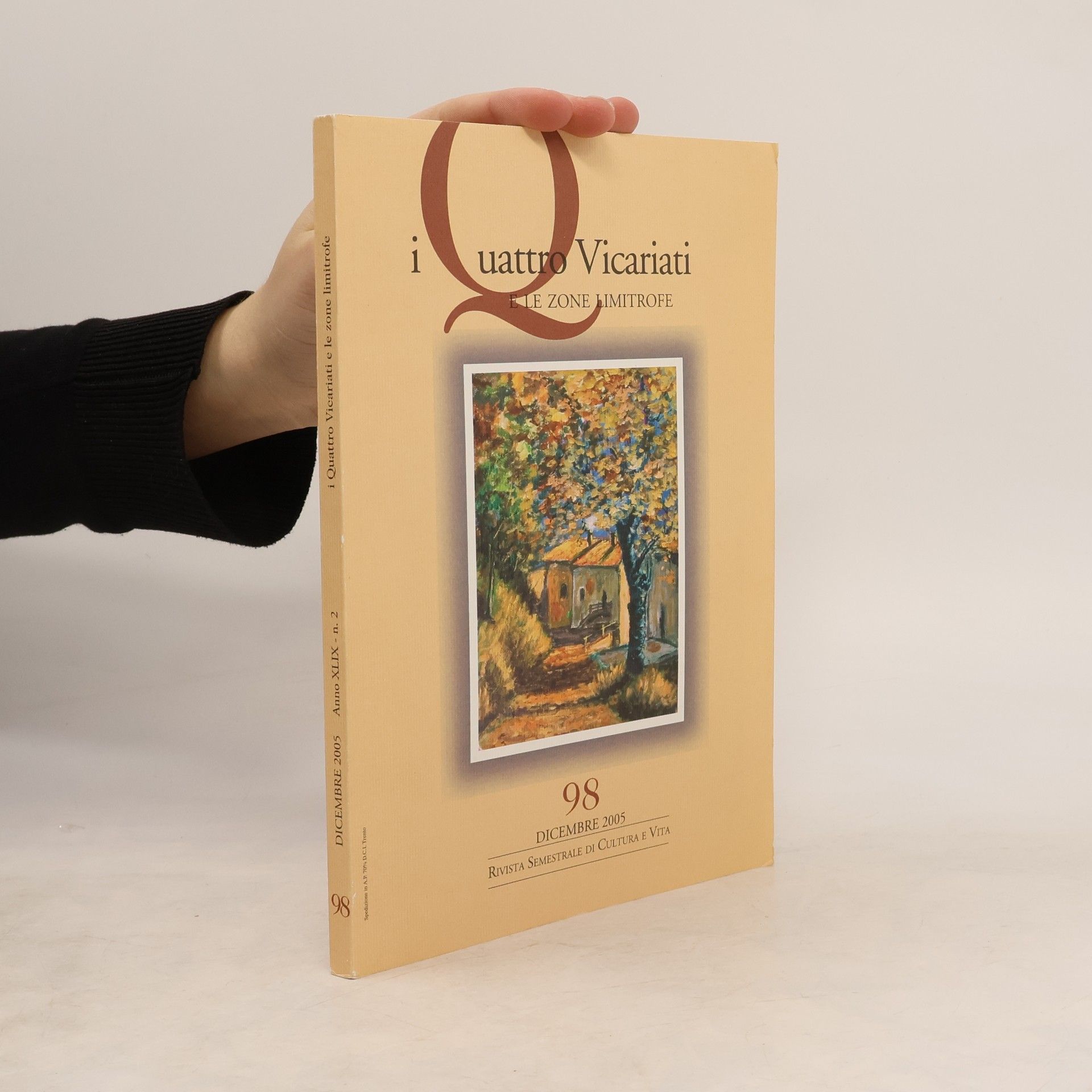 Kolektiv autorů I quattro Vicariati e le zone limitrofe 98/2005