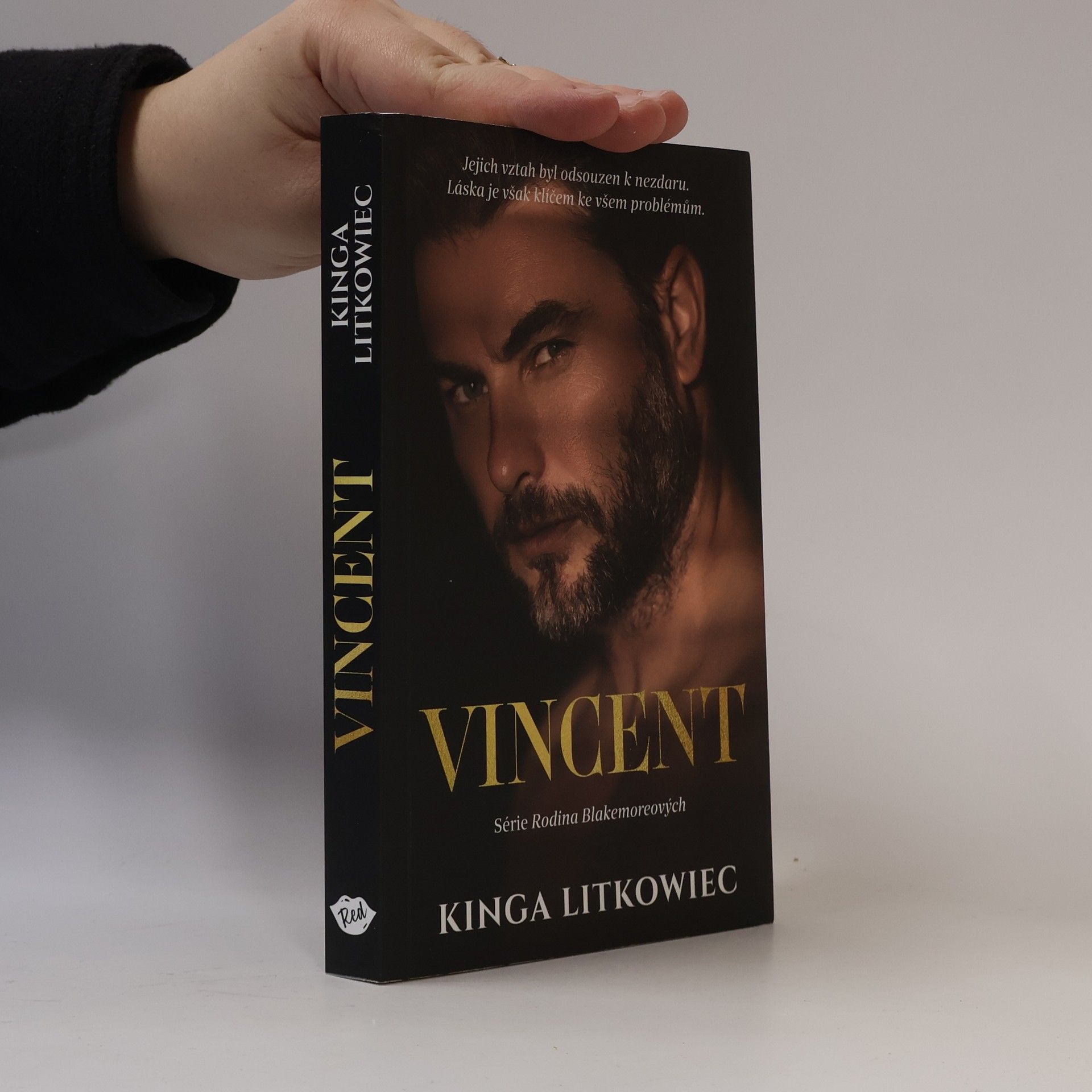 Kinga Litkowiec Rodina Blakemoreových. Vincent (2. díl)