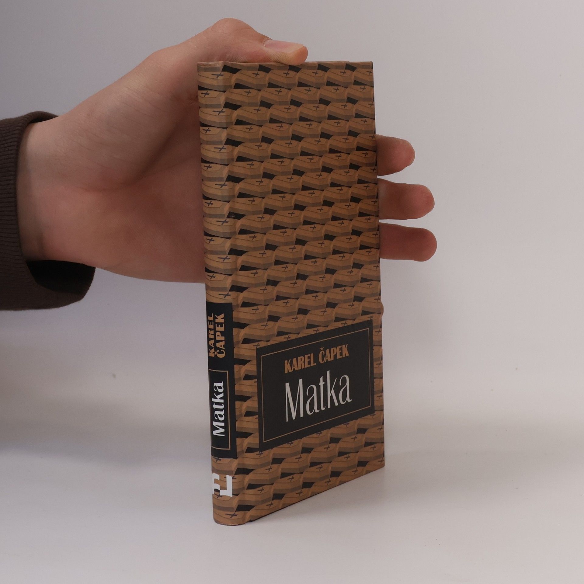 Karel Čapek Matka