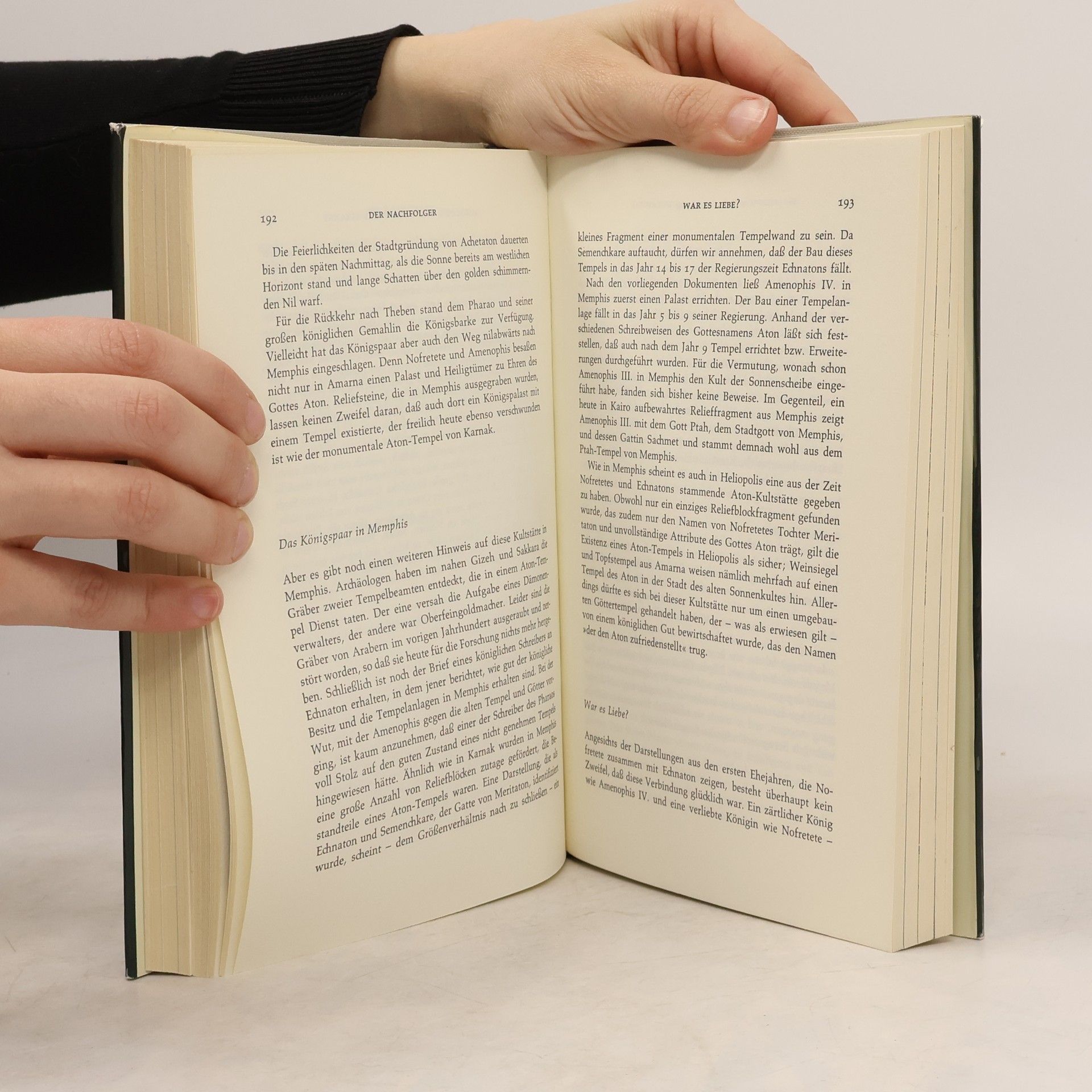 Philipp Vandenberg Nofretete und ihre Zeit. Eine archäologische Biografie