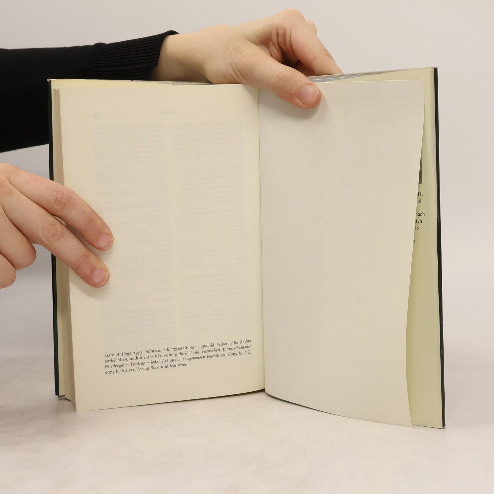 Philipp Vandenberg Nofretete und ihre Zeit. Eine archäologische Biografie