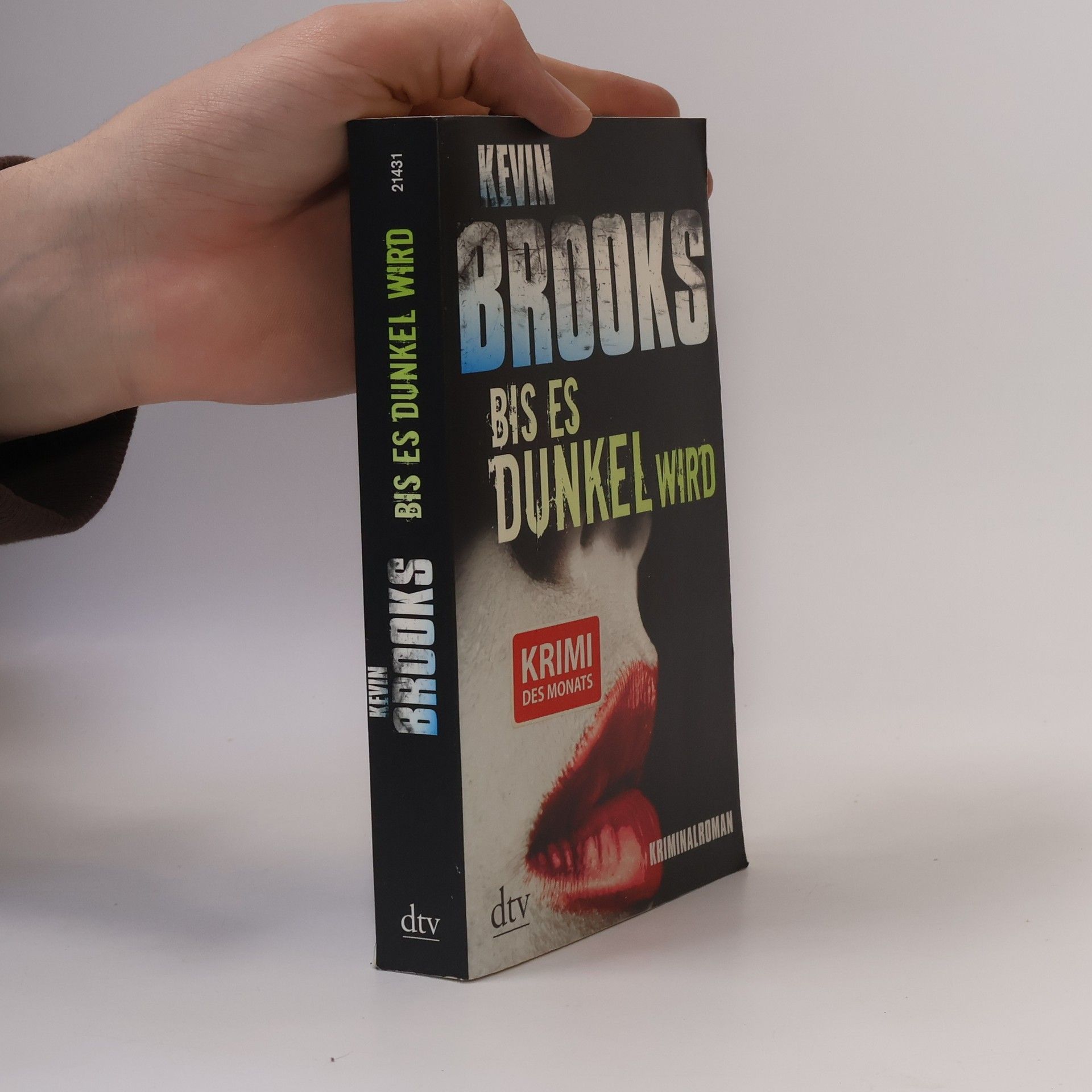 Kevin Brooks Bis es dunkel wird