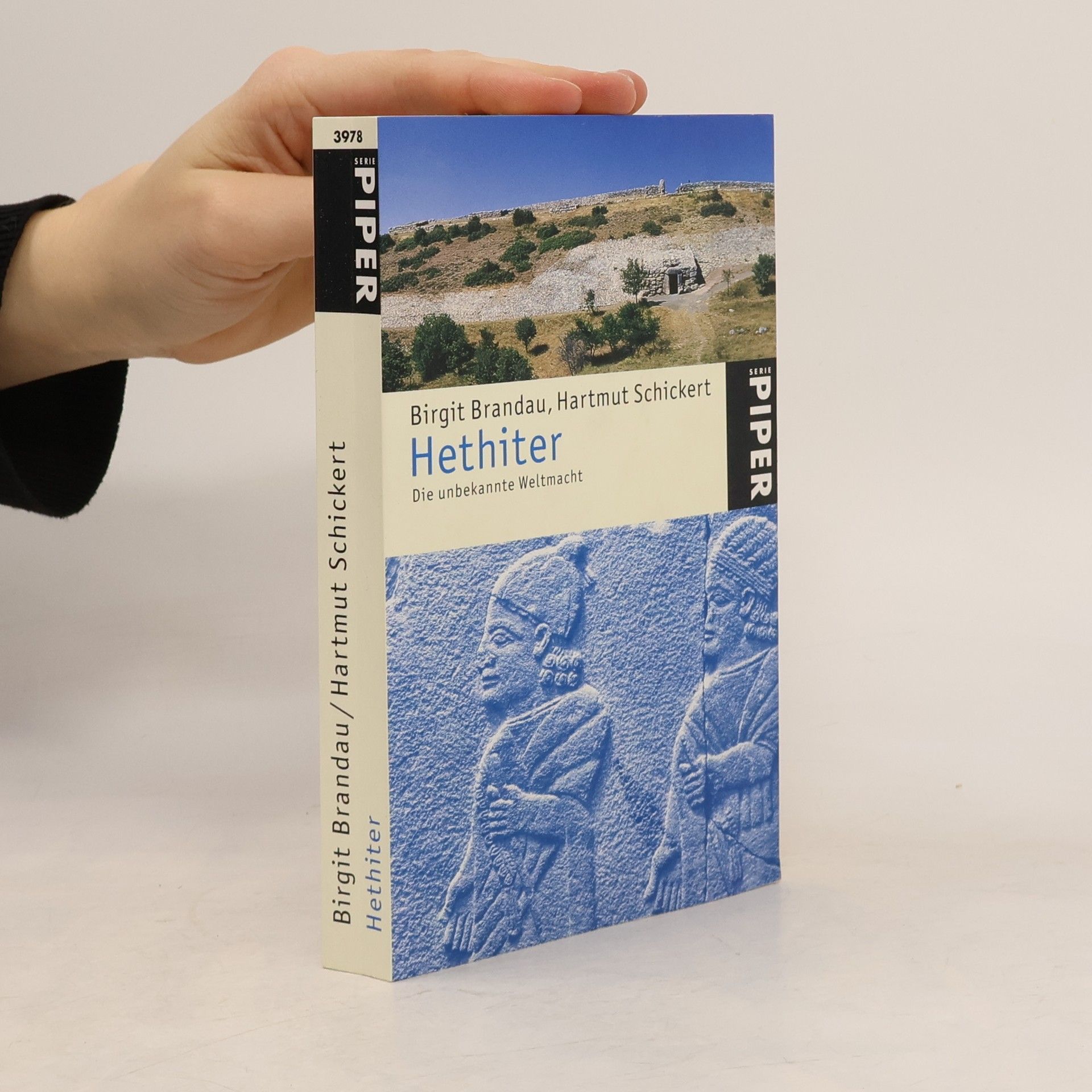 Birgit Brandau Hethiter