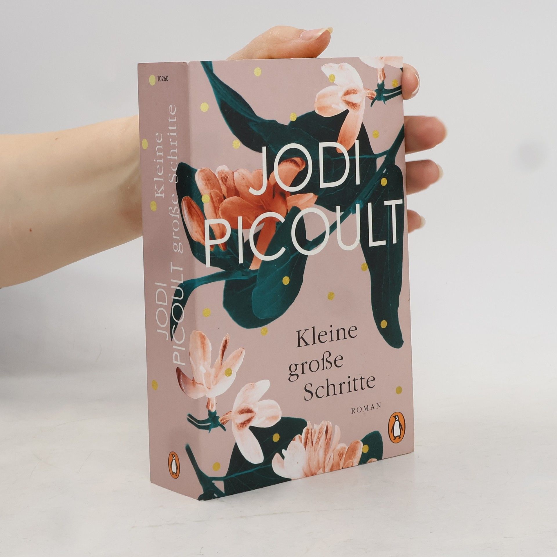 Jodi Picoult Kleine große Schritte