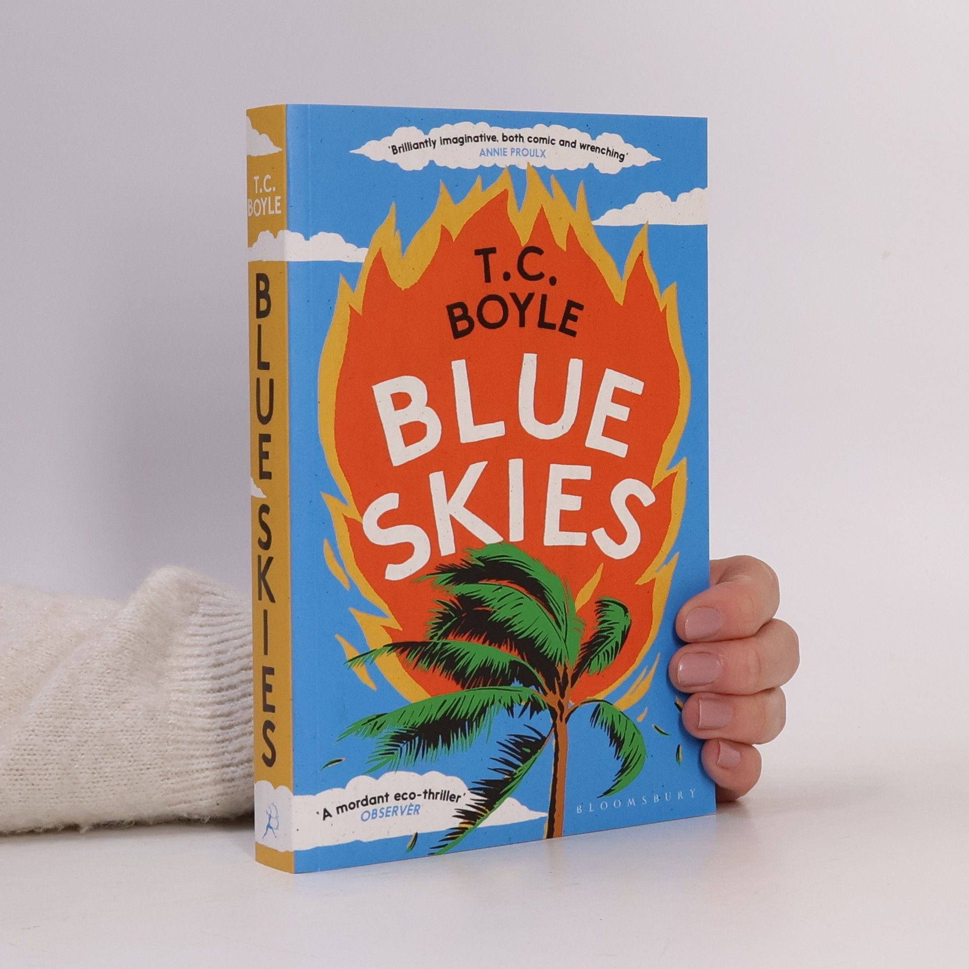T. Coraghessan Boyle Blue Skies