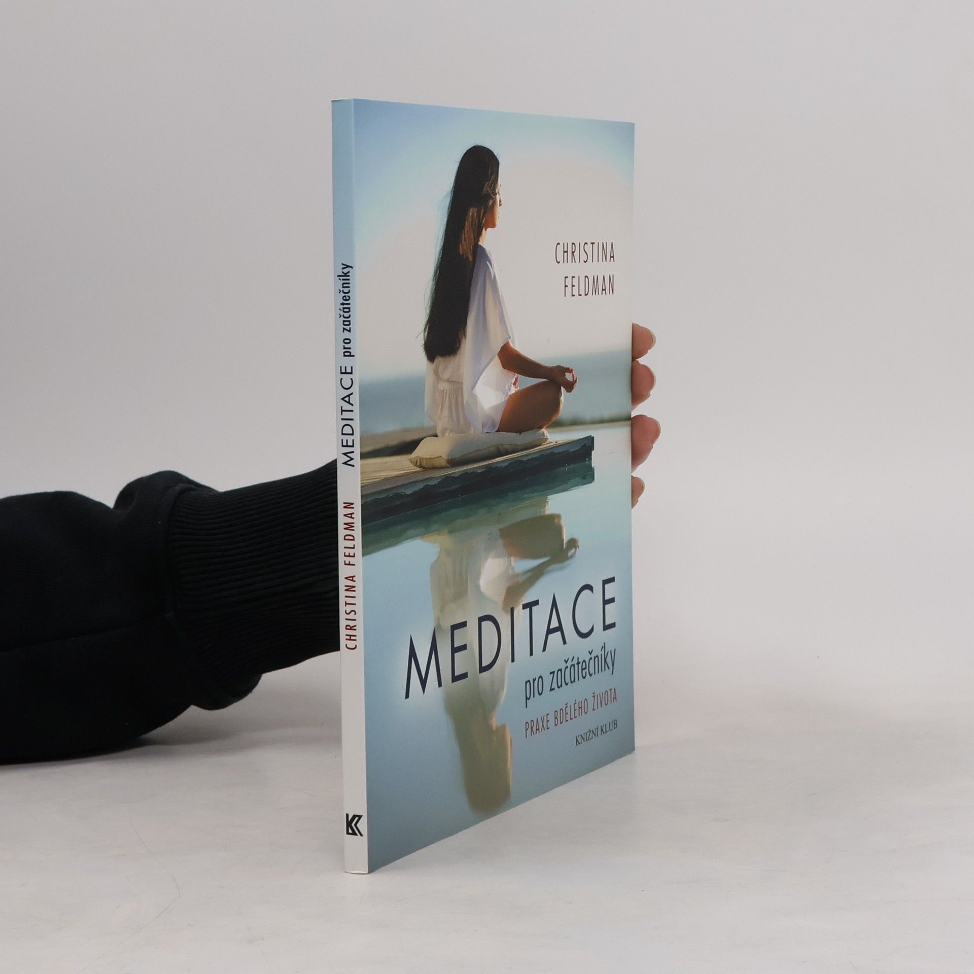 Meditace pro začátečníky. Praxe bdělého života