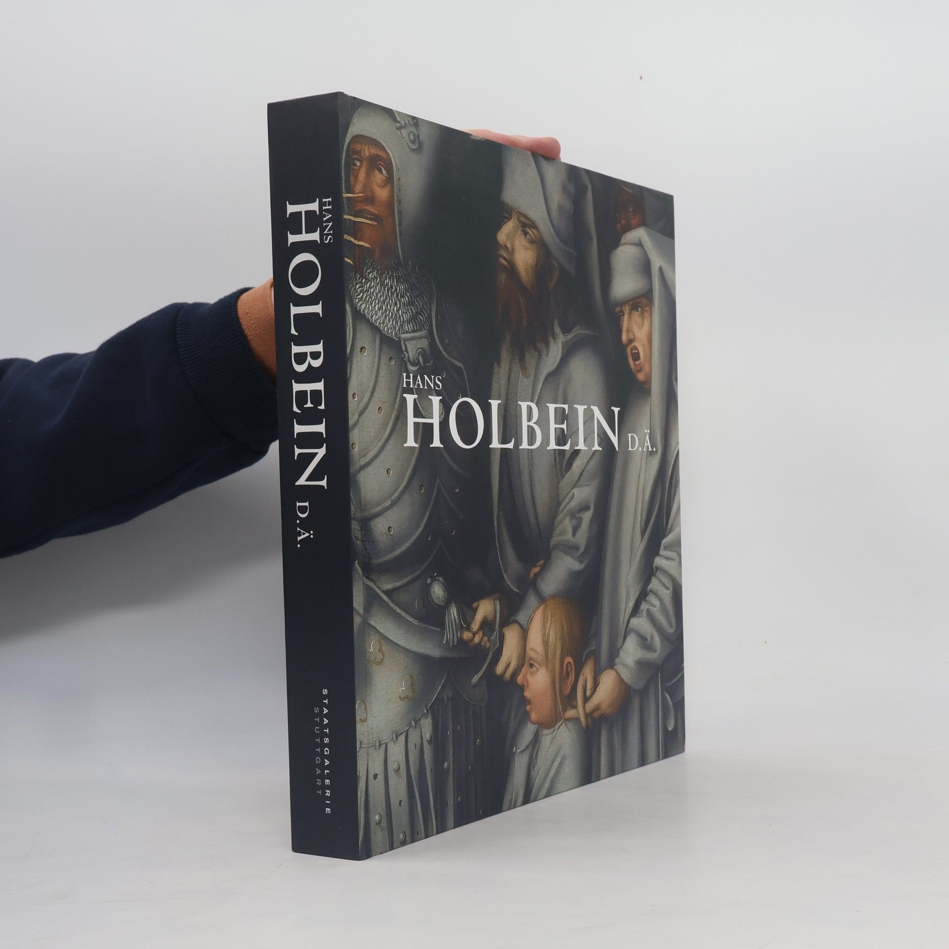 Hans Holbein D. Ä. Die Graue Passion in ihrer Zeit