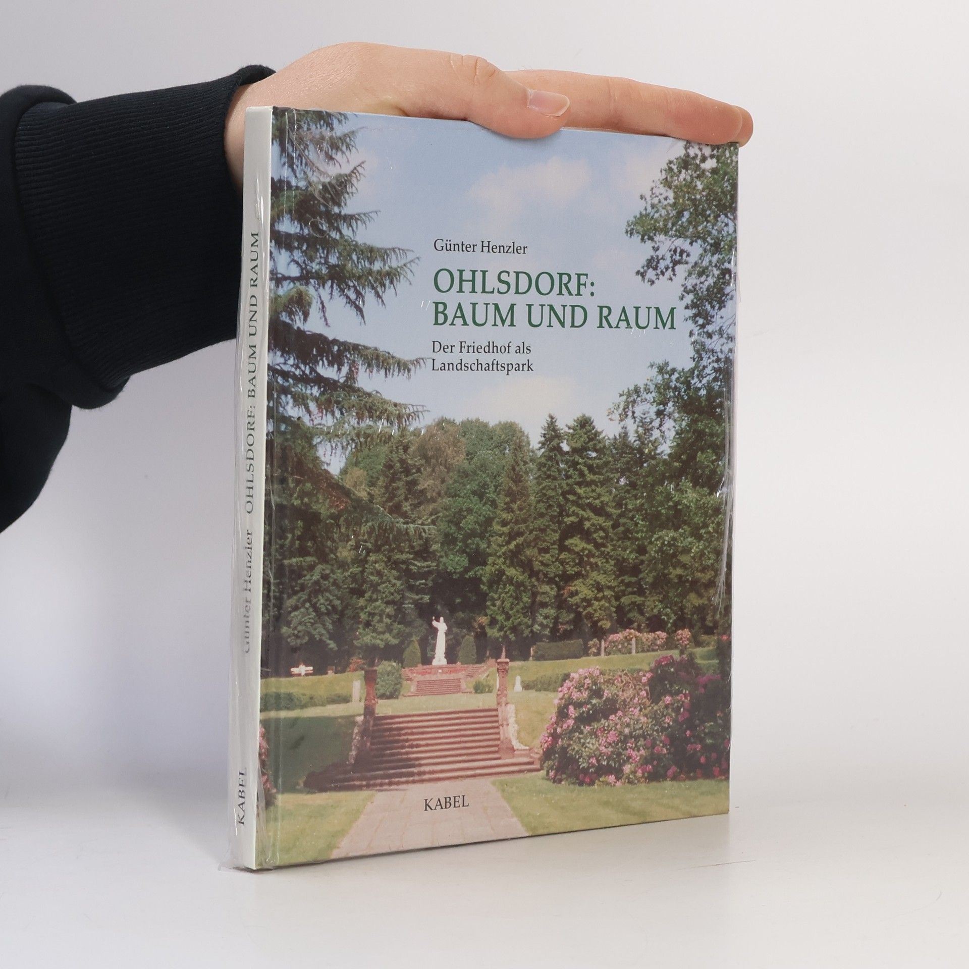 Günter Henzler Ohlsdorf: Baum und Raum