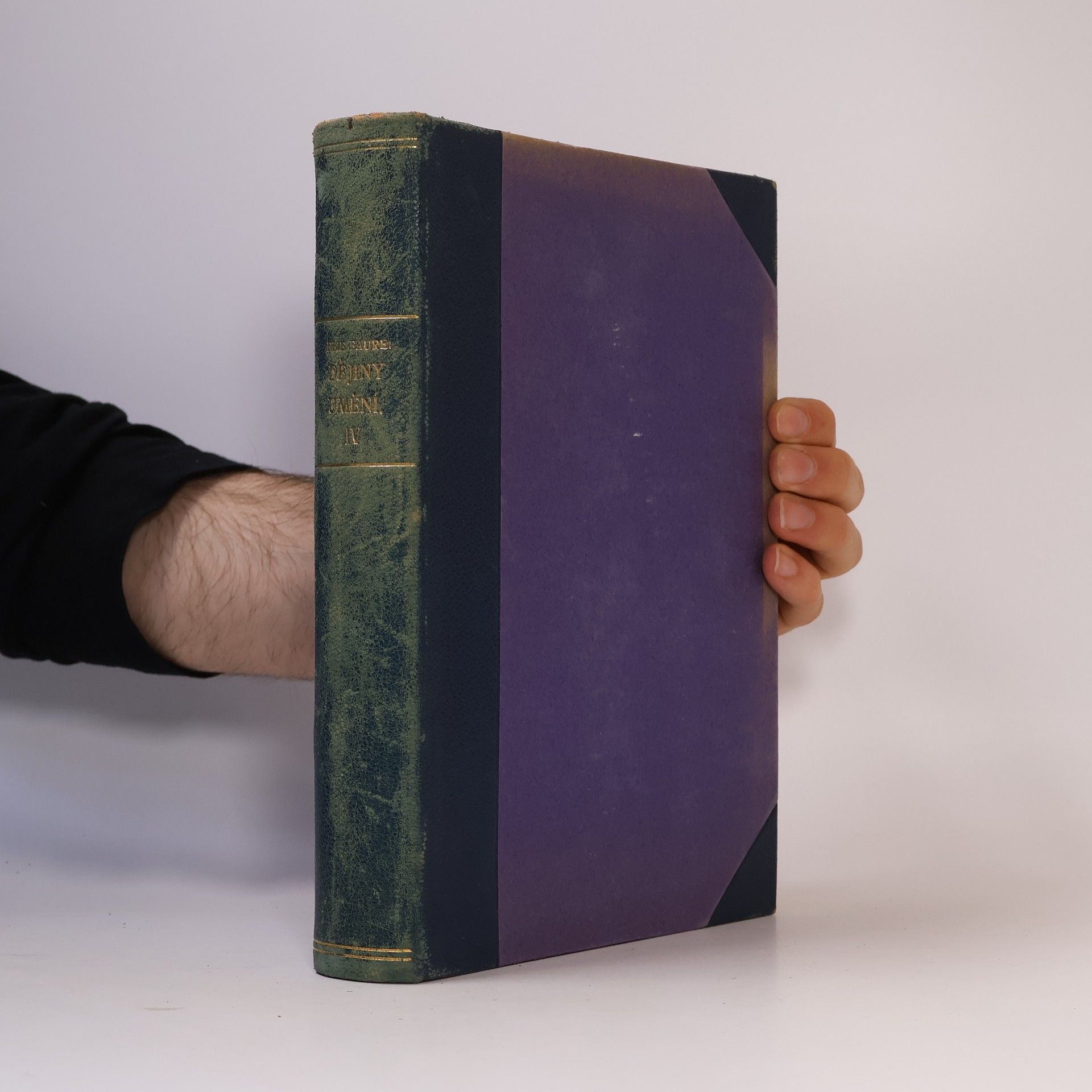 Dějiny umění. Umění novověké