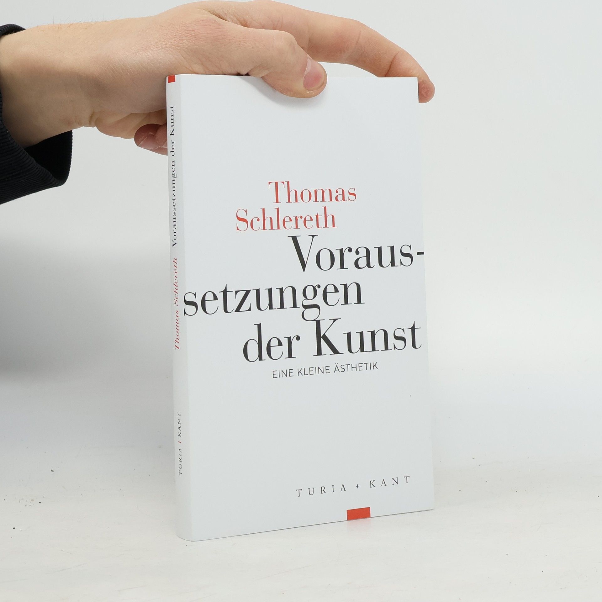 Thomas Schlereth Voraussetzungen der Kunst