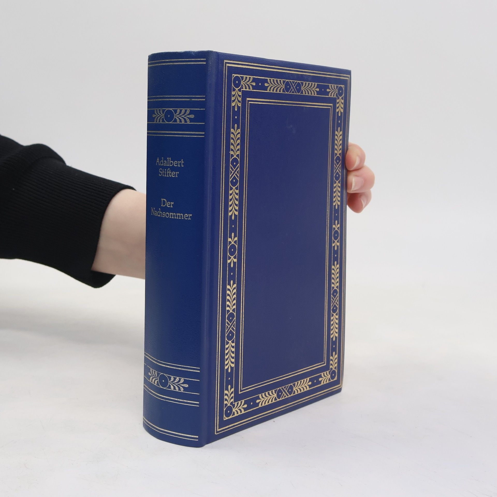 Adalbert Stifter Der Nachsommer