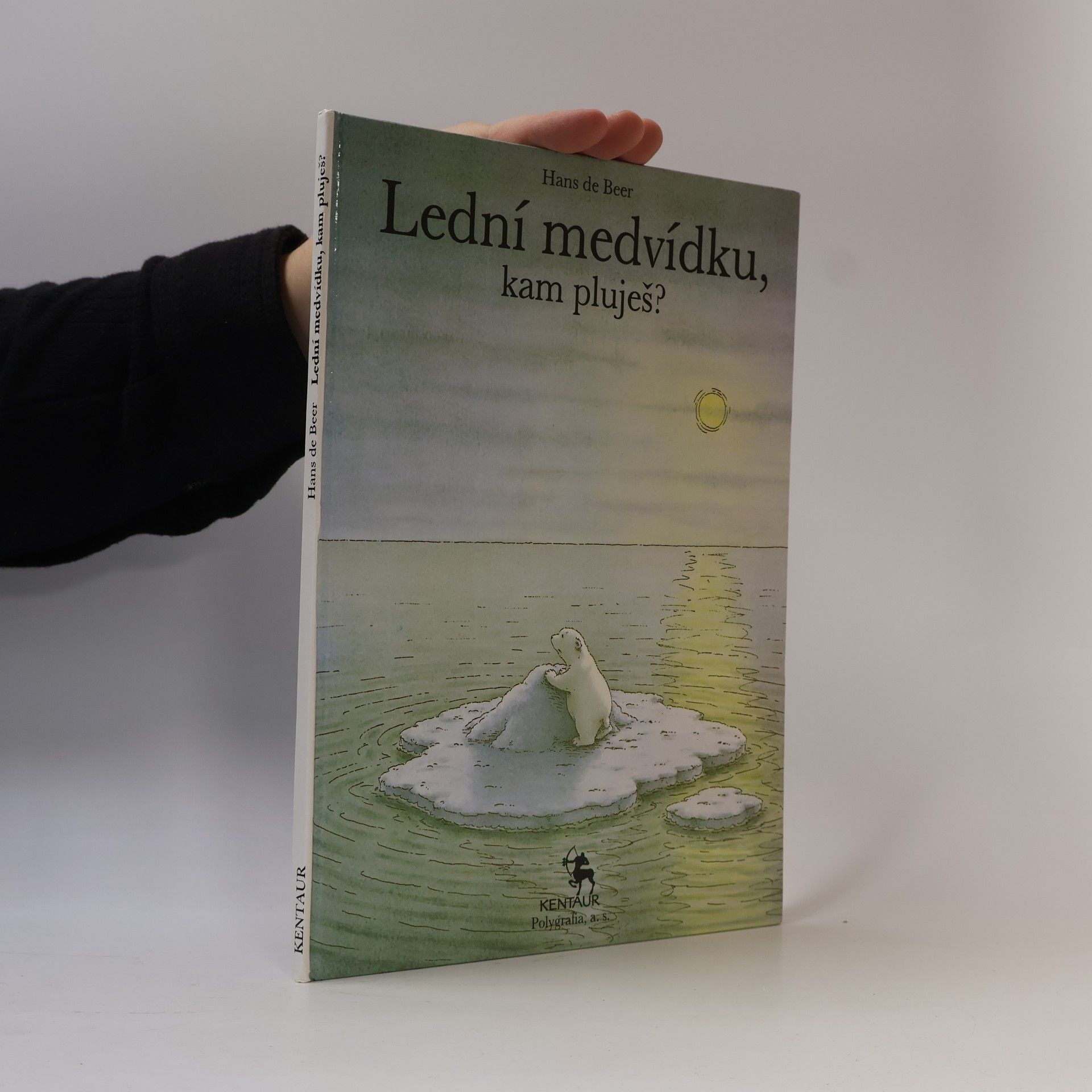 Hans de Beer Lední medvídku, kam pluješ?