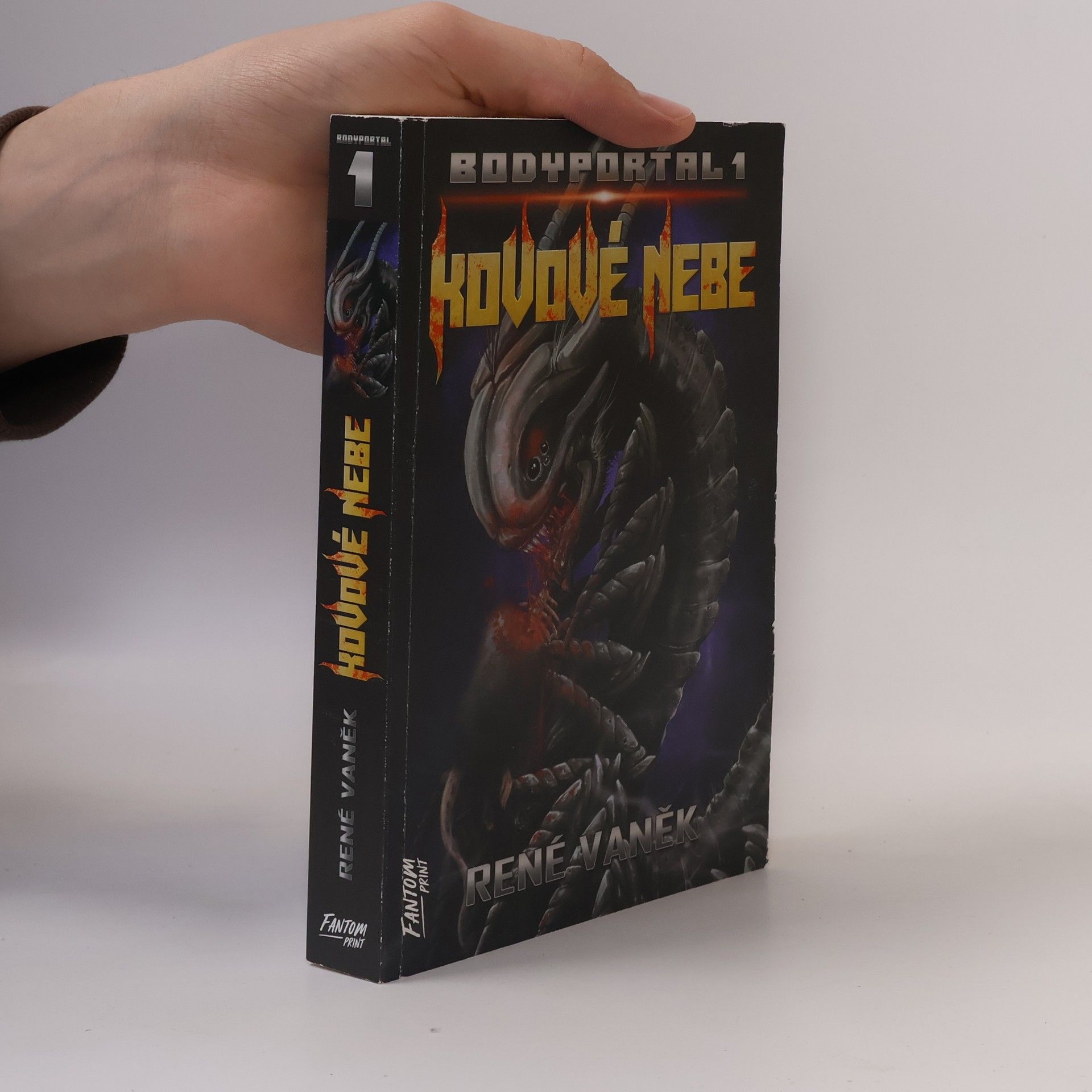 René Vaněk Kovové nebe