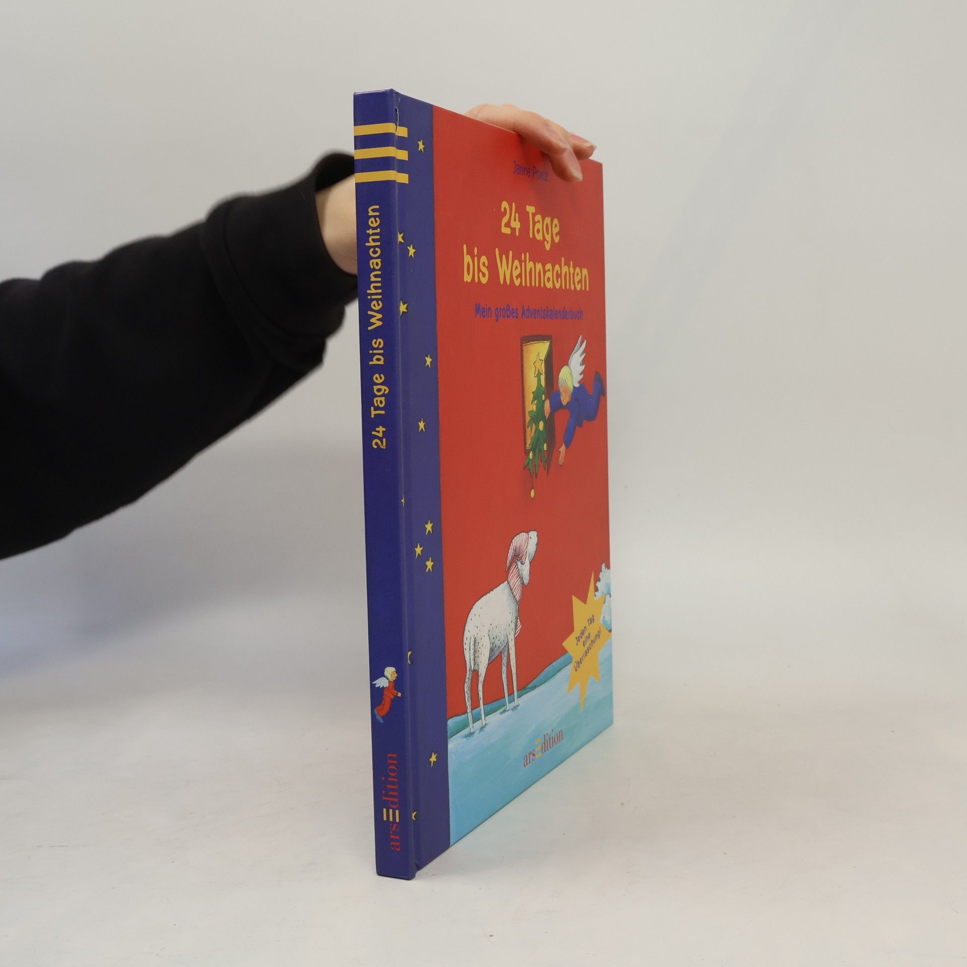 Janne Poelz 24 Tage bis Weihnachten