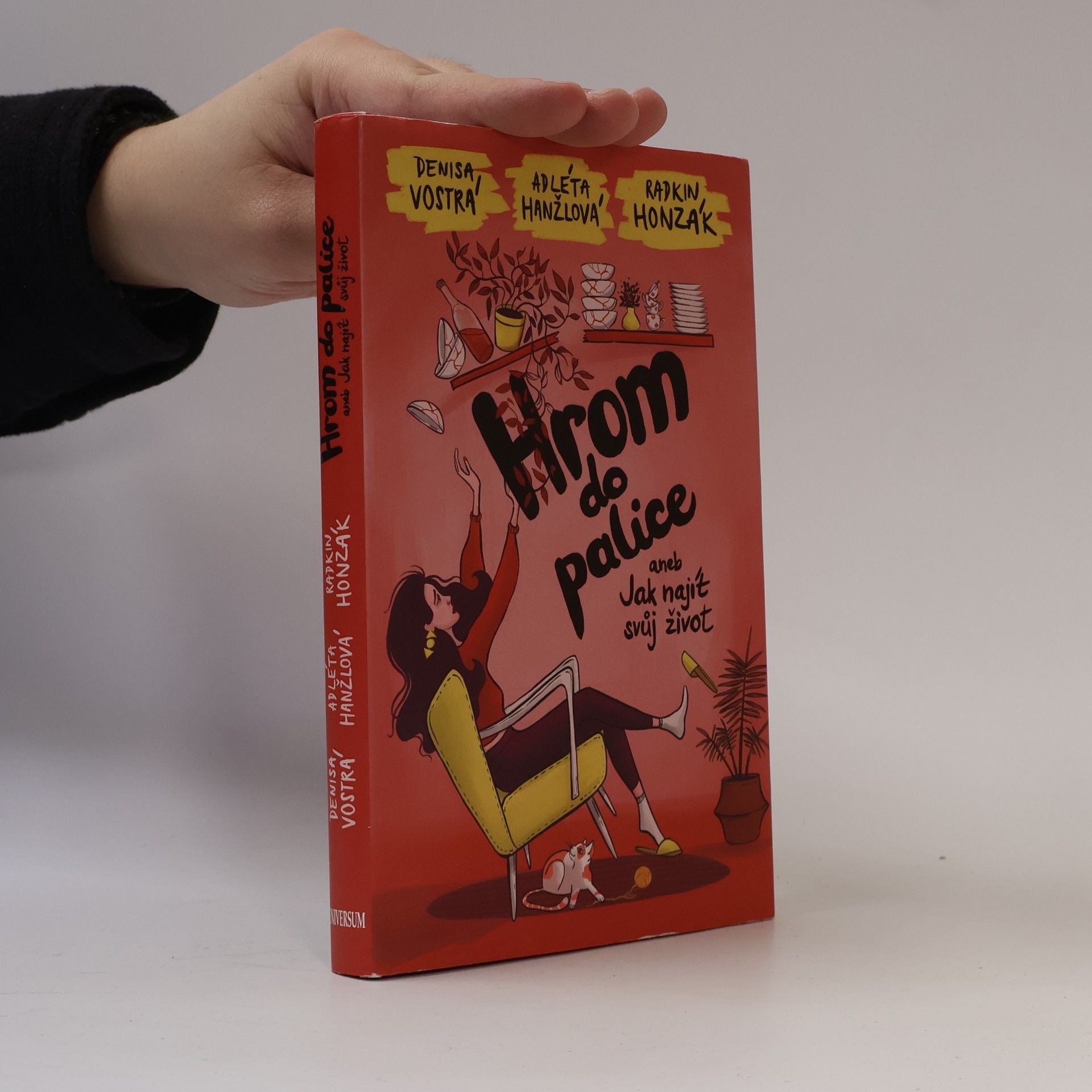 Denisa Vostrá Hrom do palice, aneb, Jak najít svůj život