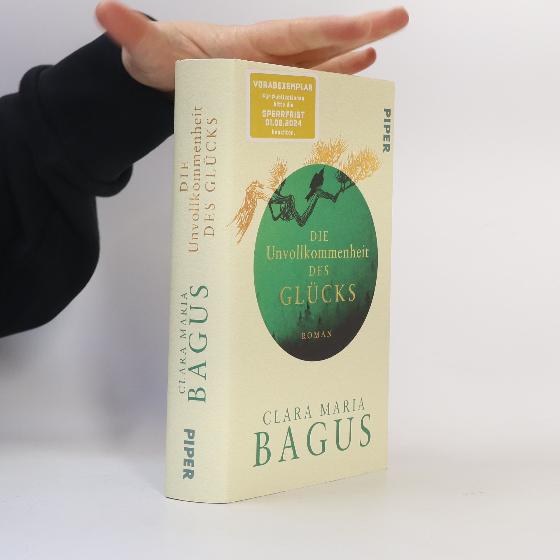 Clara Maria Bagus Die Unvollkommenheit des Glücks