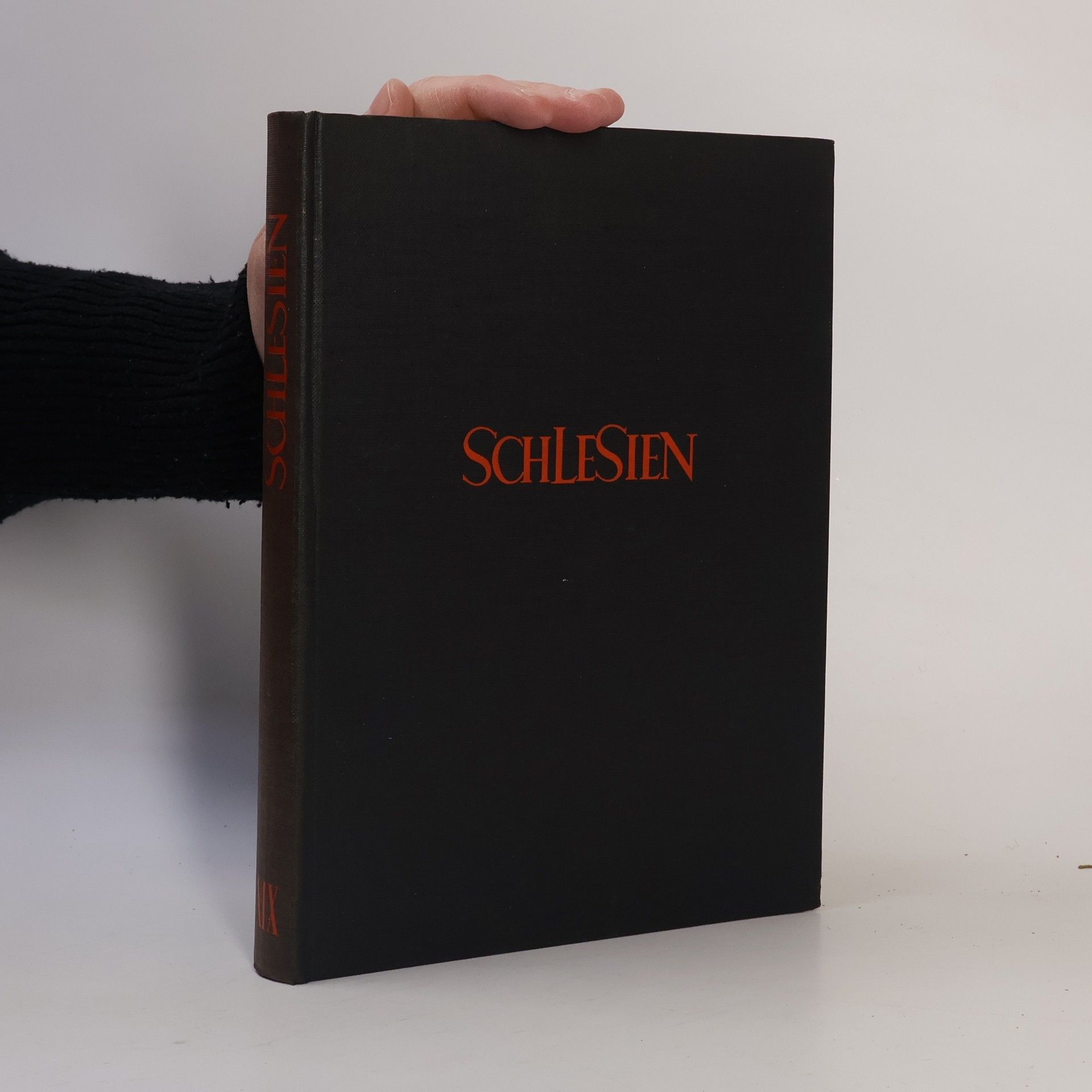 Autorenkollektiv Schlesien XX. Jahrgang