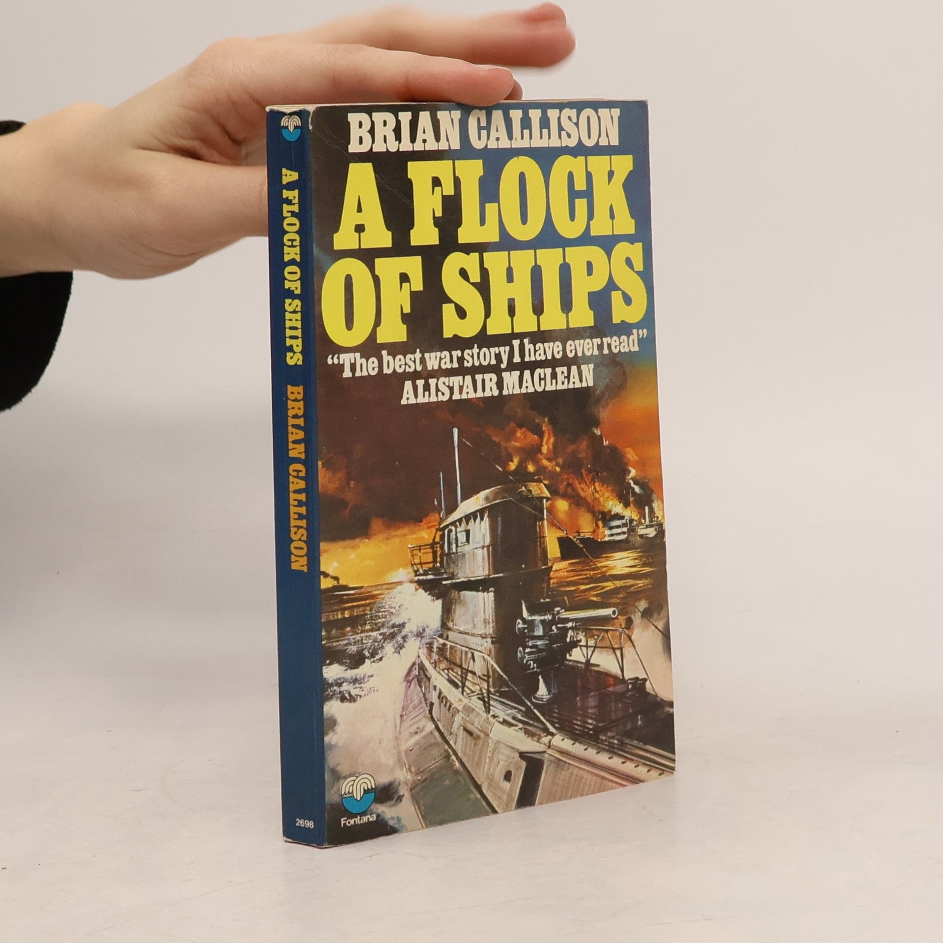 Brian Callison A Flock of Ships