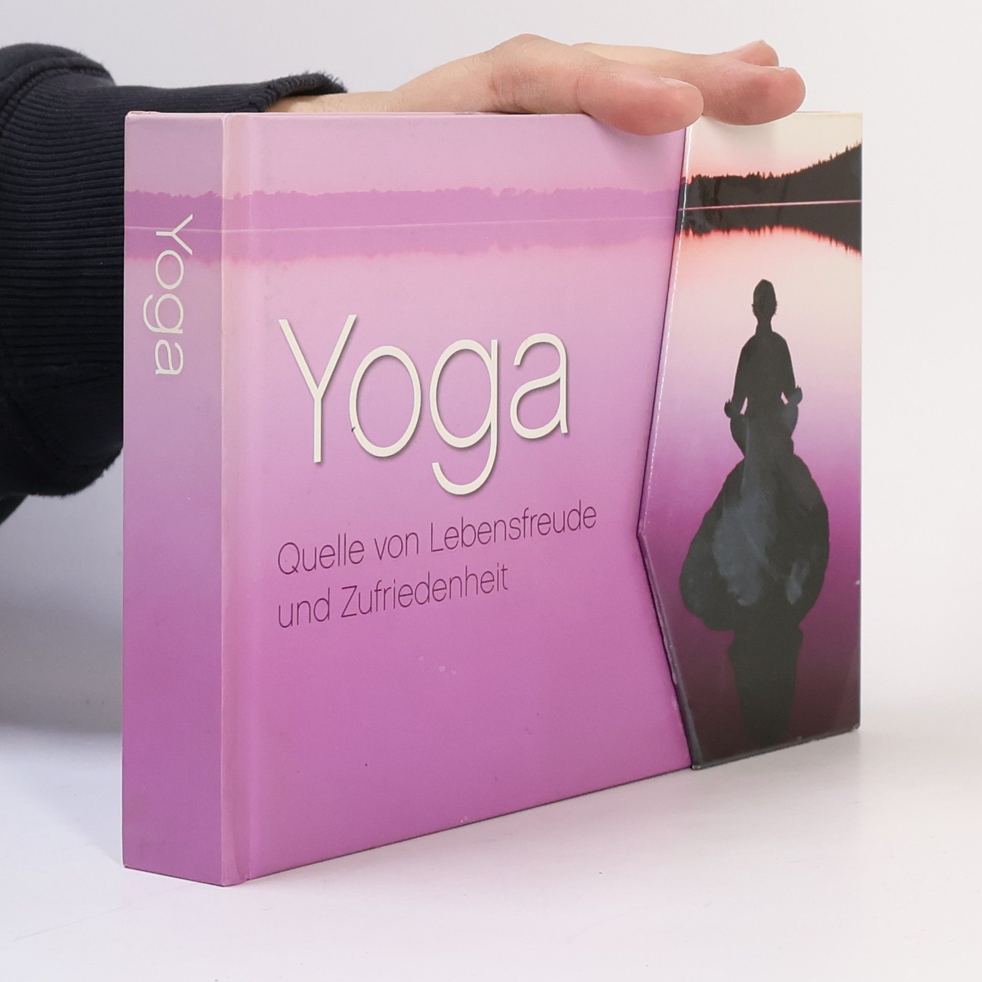 Barbara Klein Glücklich und fit mit Yoga