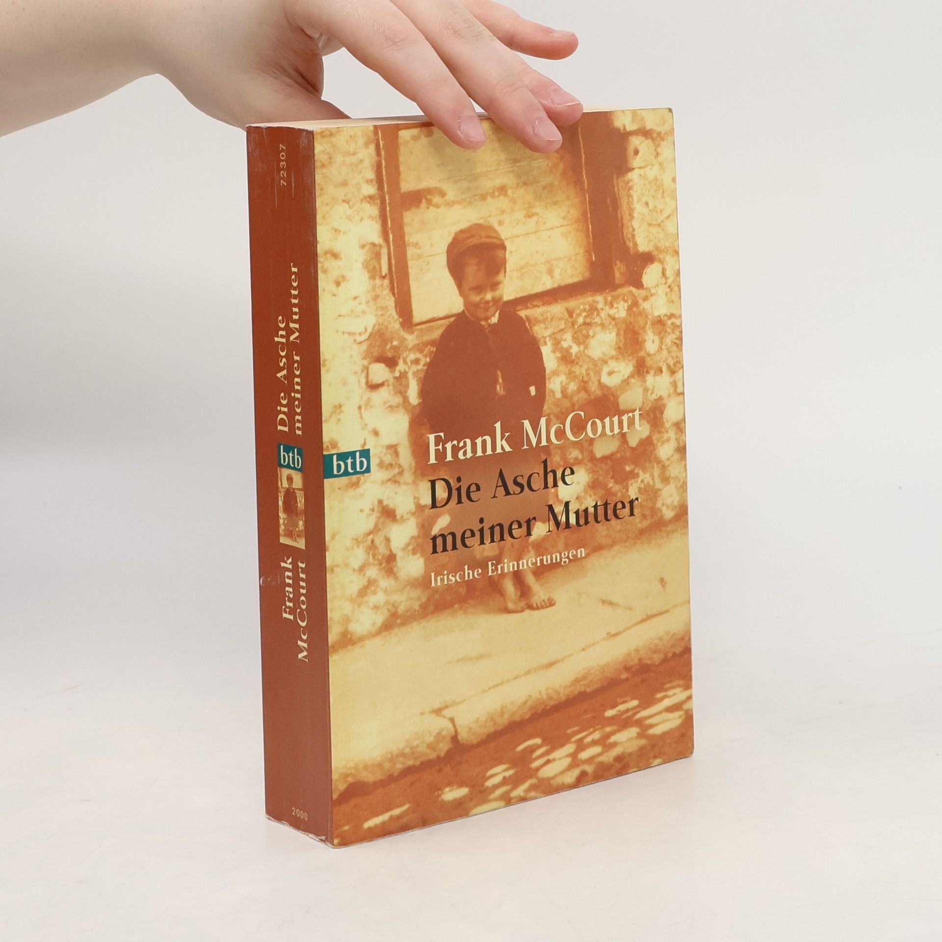 Frank McCourt Die Asche meiner Mutter