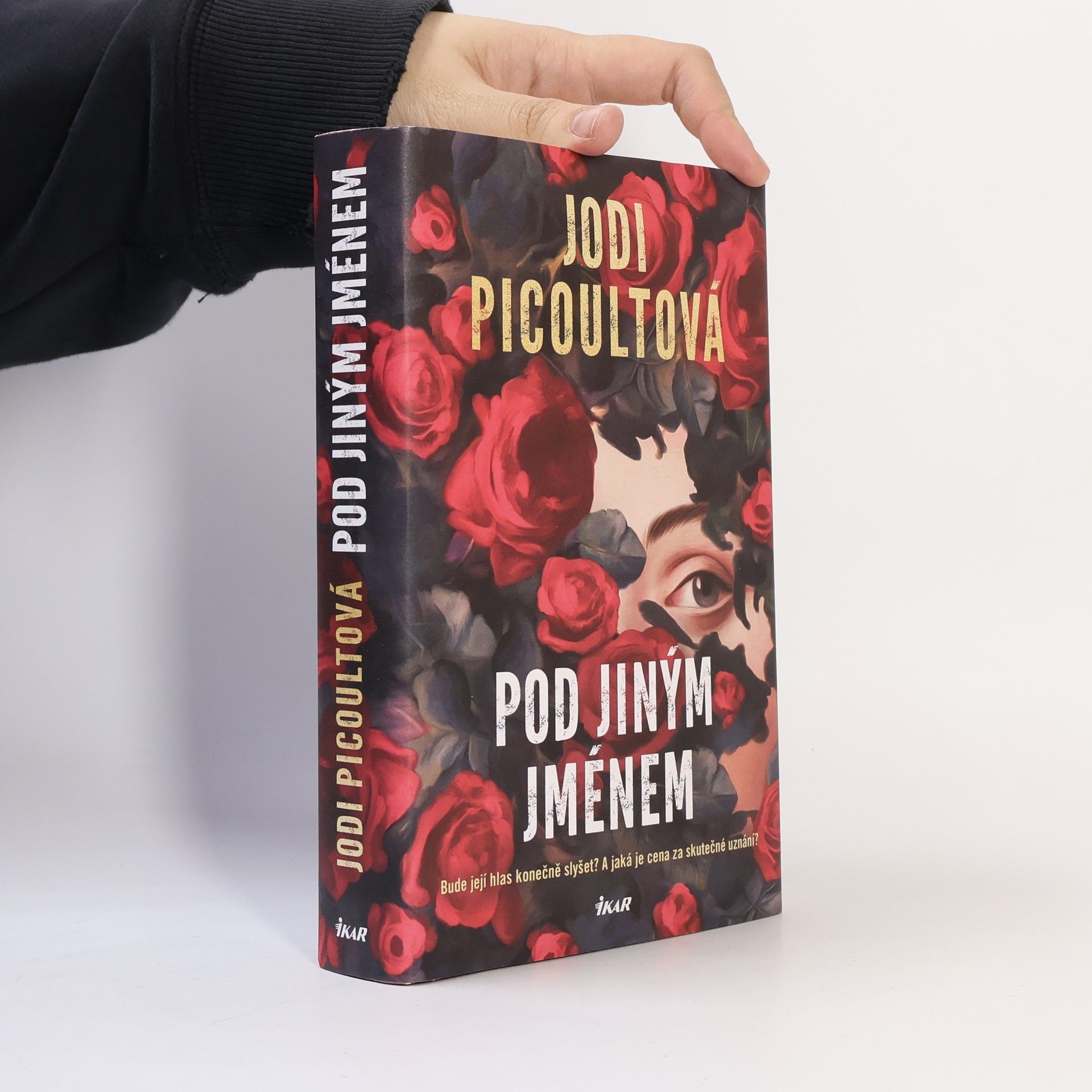 Jodi Picoult Pod jiným jménem