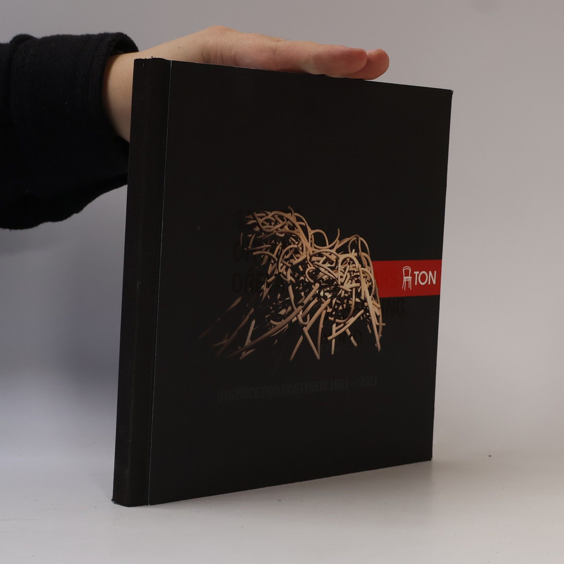 Autorenkollektiv 150 let ohýbaní dřeva / 150 Years of Bending Wood