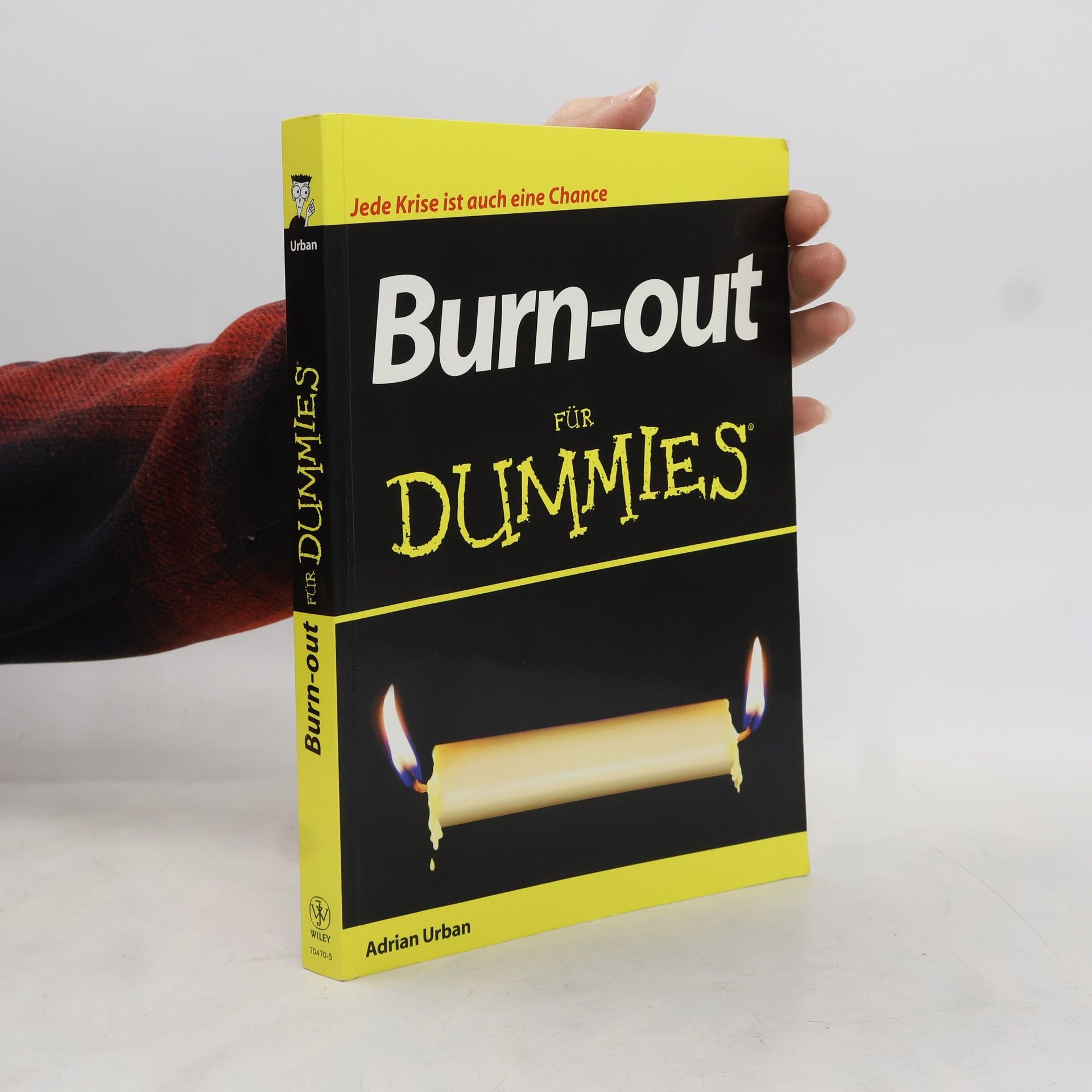 Adrian Urban Burn-out für Dummies